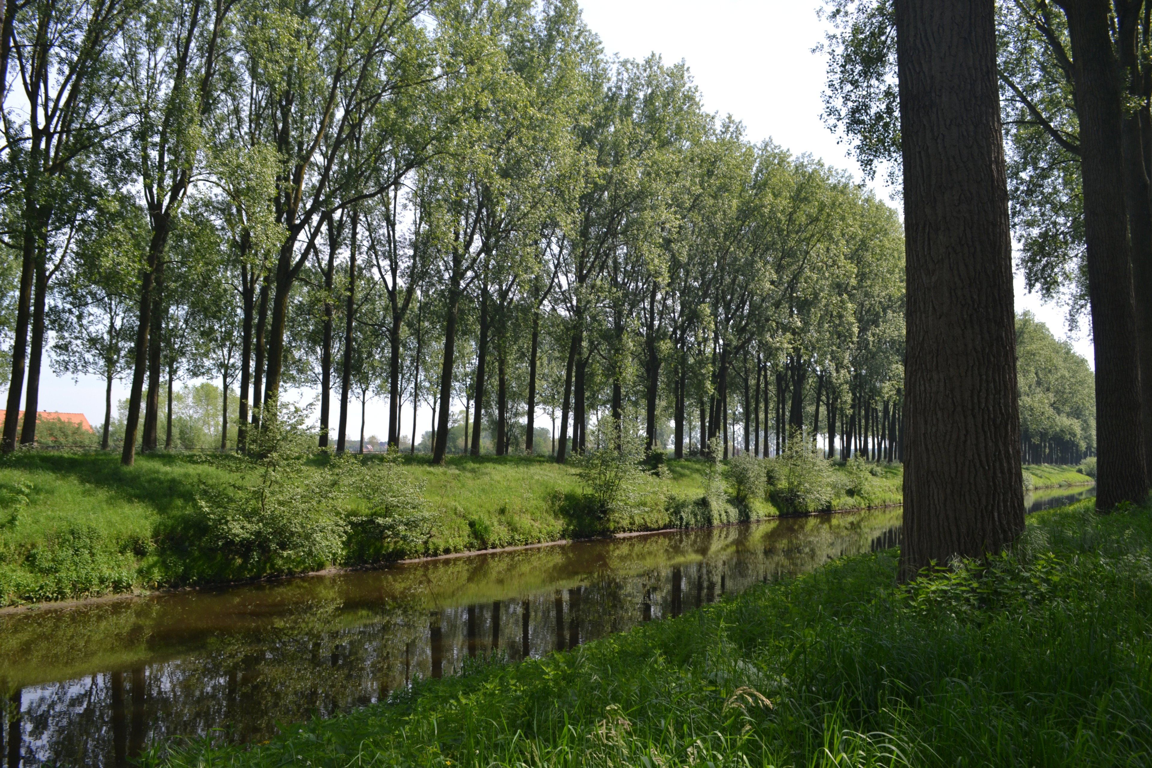 - image: 14