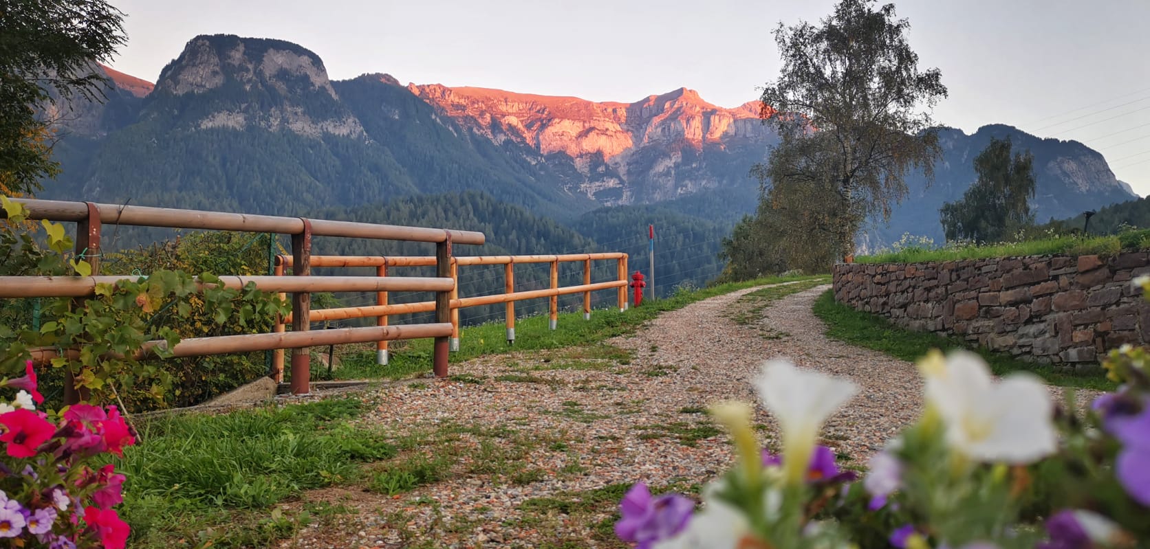 Casa nella natura a Dimaro