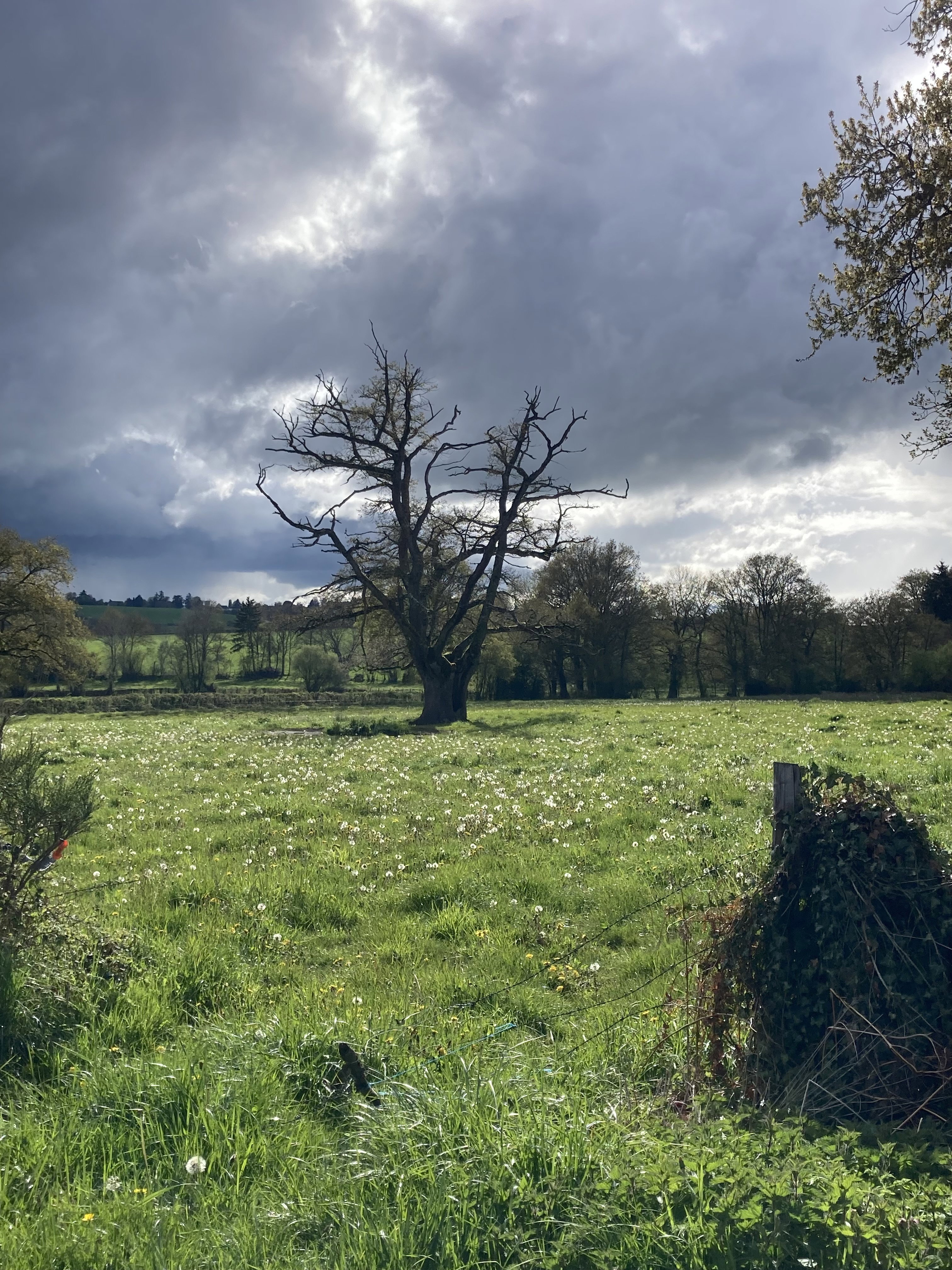 Natuurhuisje in Saint Gervais d’Auvergne