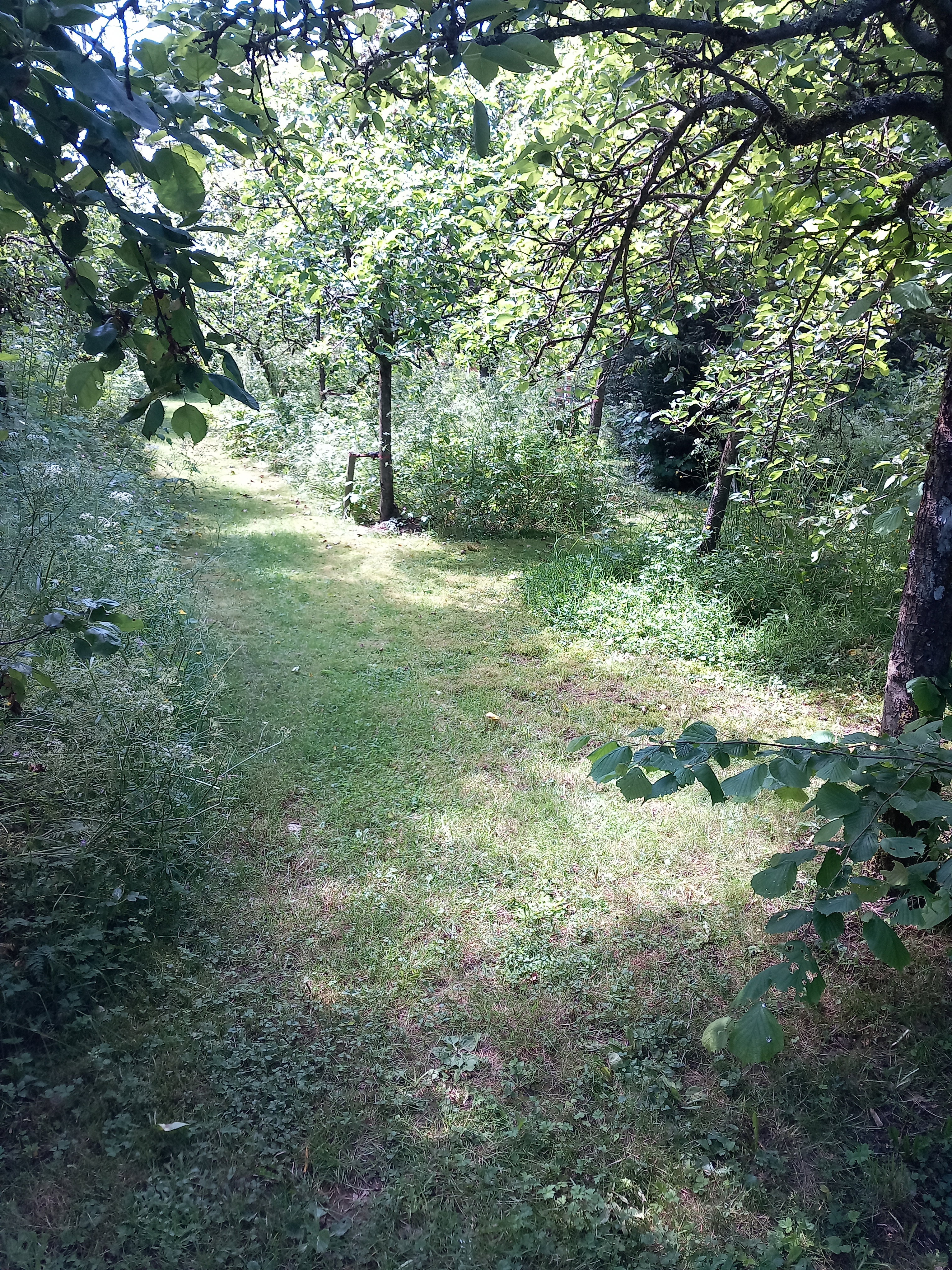 Casa nella natura a Wibrin