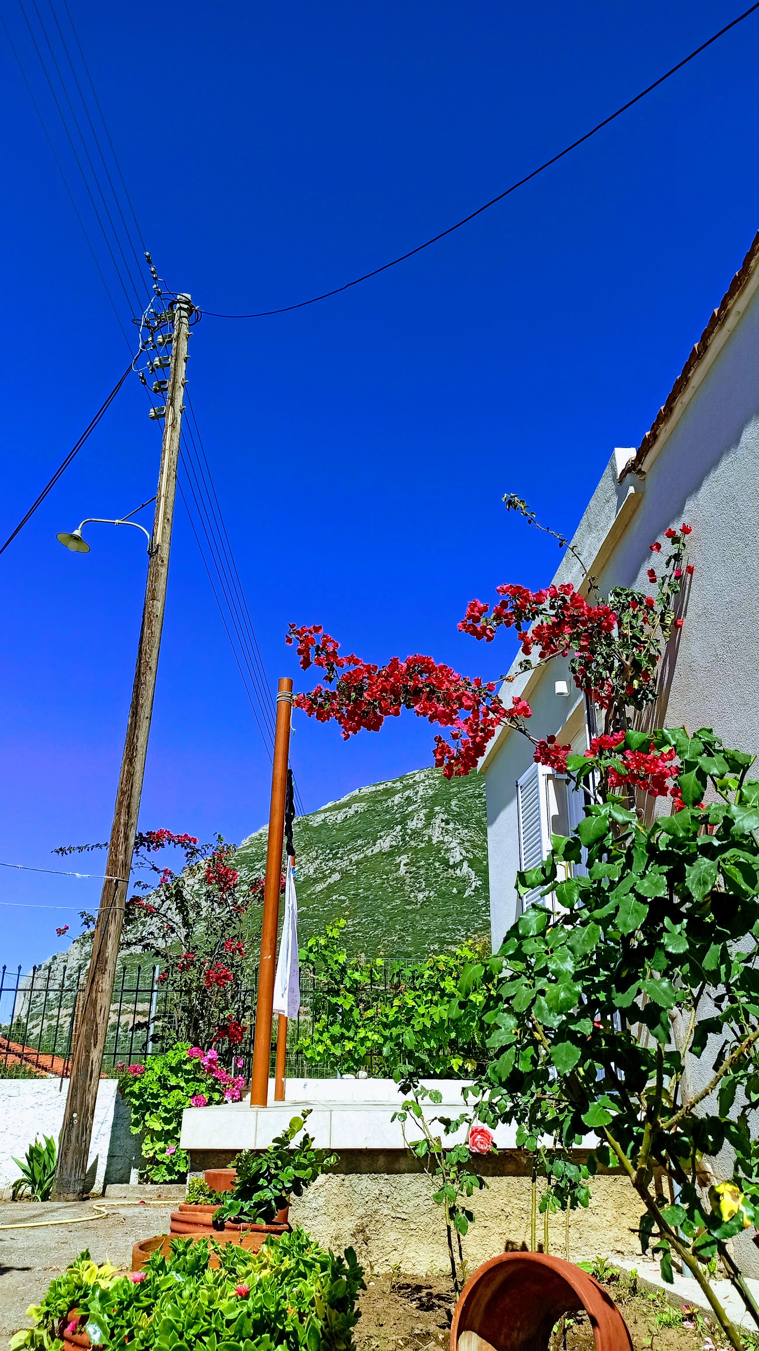 - image: 5