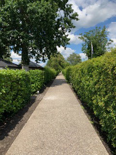- image: 19