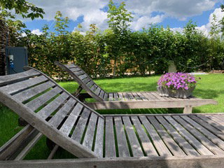 - image: 16