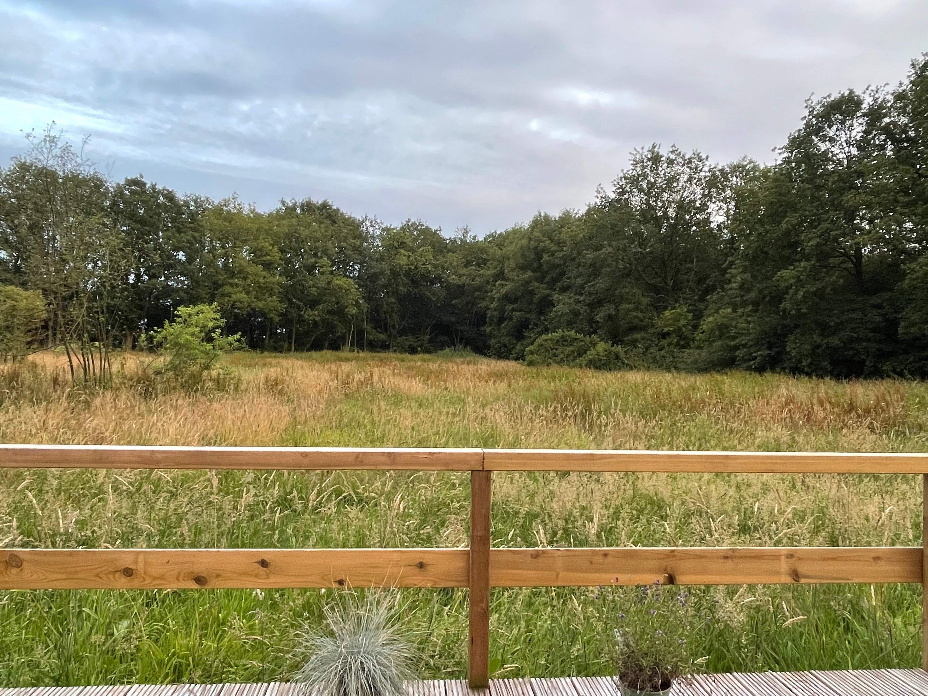 Natuurhuisje in Dwingeloo