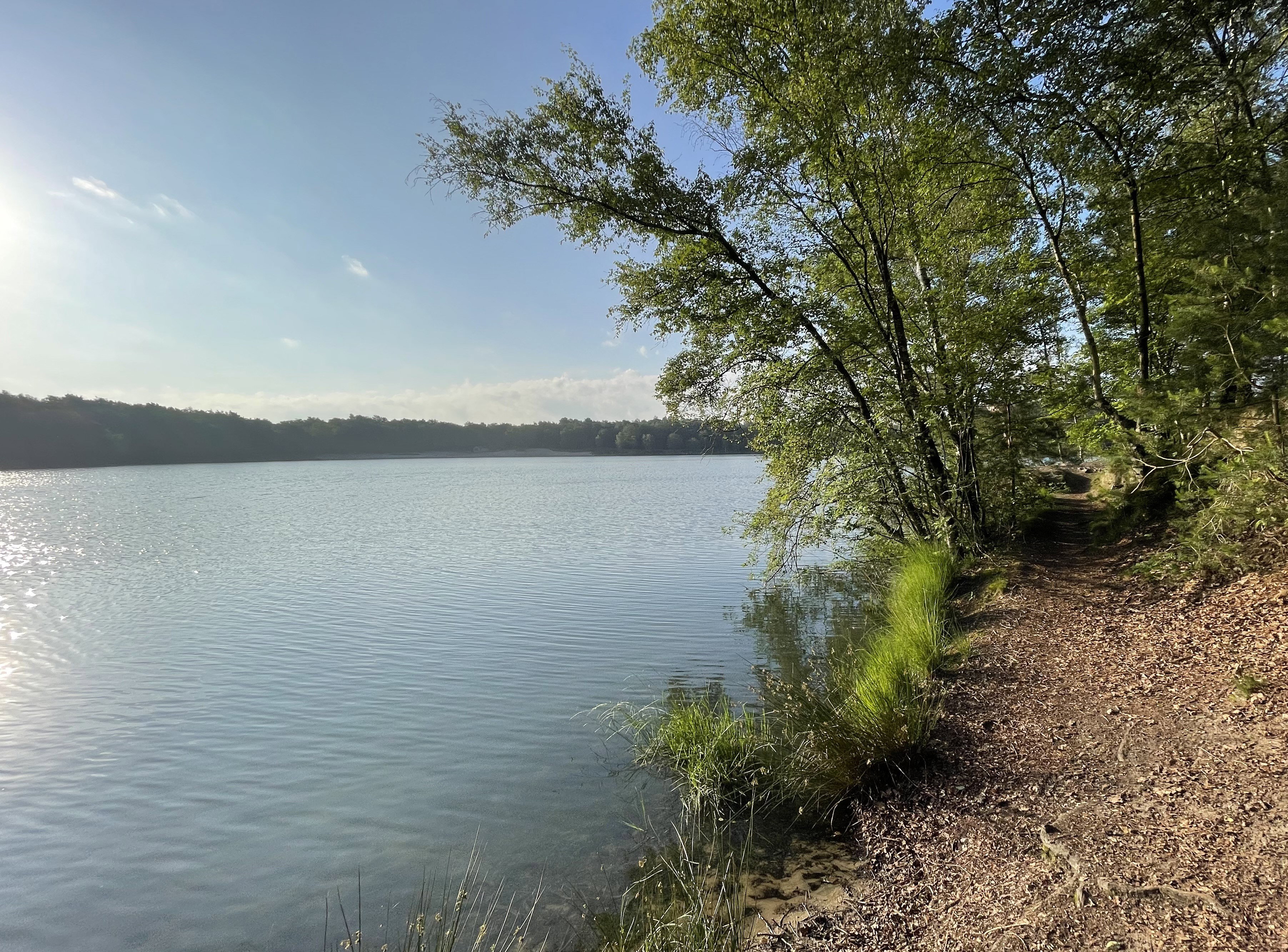 Natuurhuisje in Dwingeloo