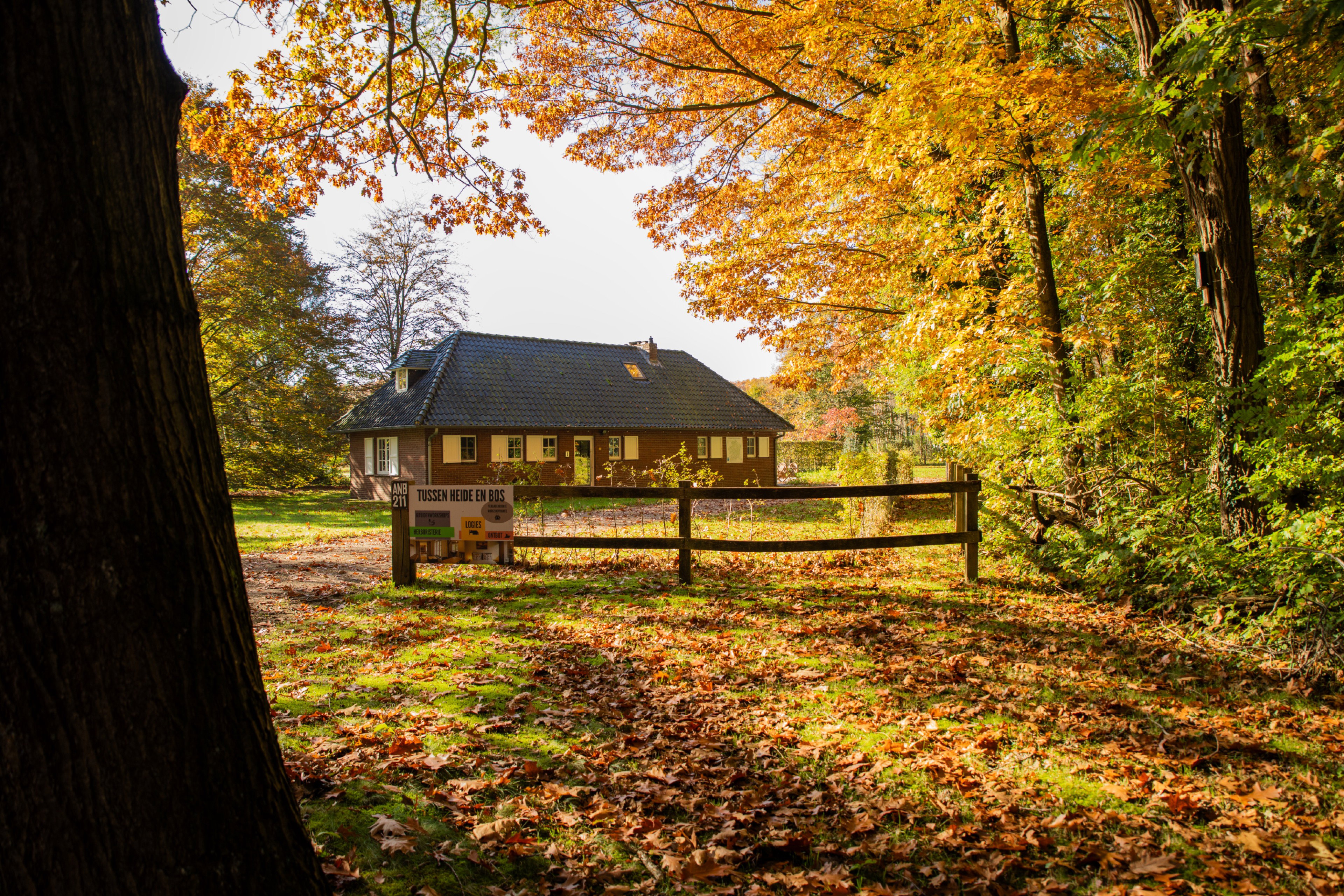 Natuurhuisje in Oudsbergen