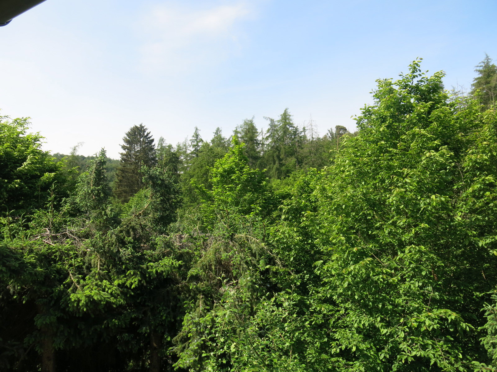 Natuurhuisje in Edertal