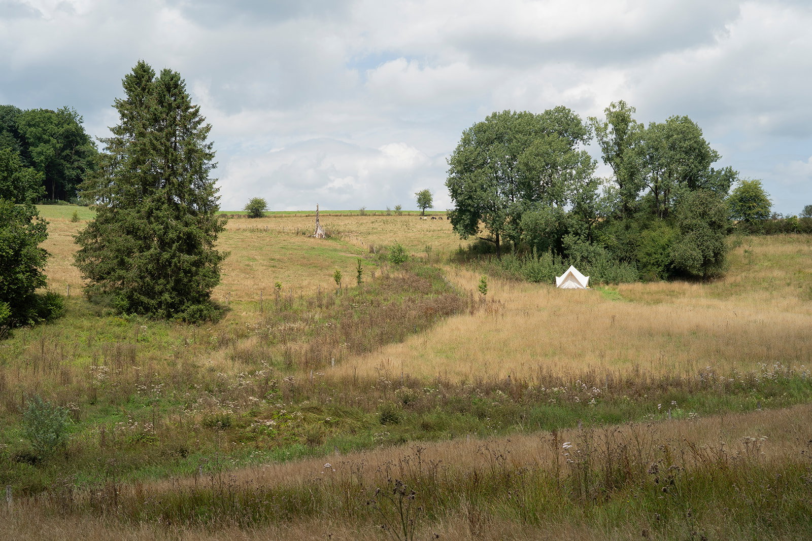 - image: 24