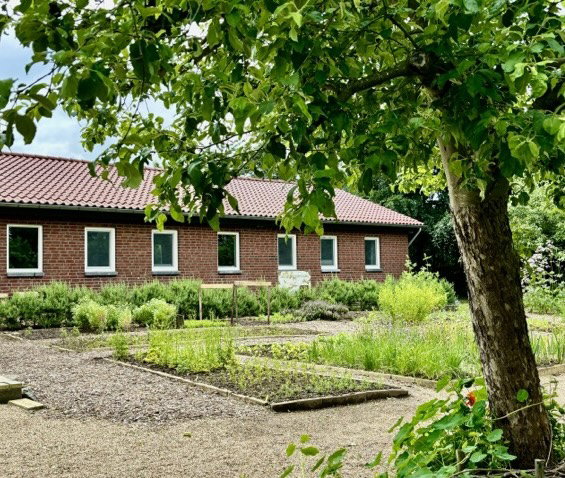 - image: 1