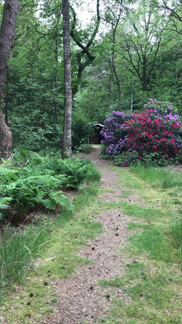 Natuurhuisje in Vilsteren