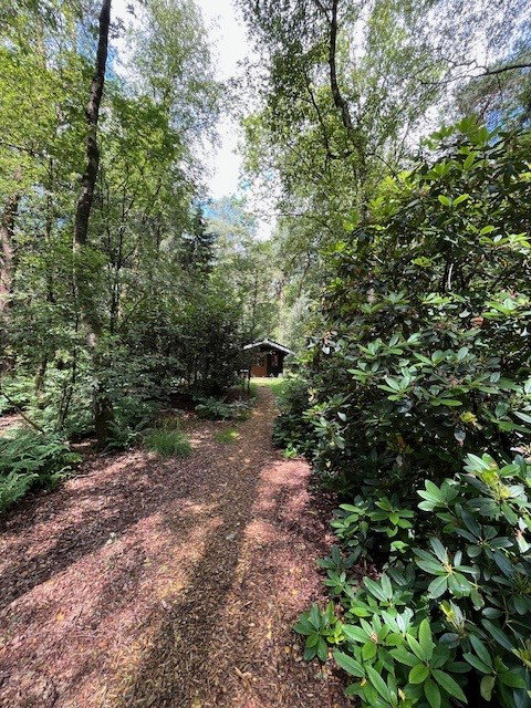 Natuurhuisje in Vilsteren