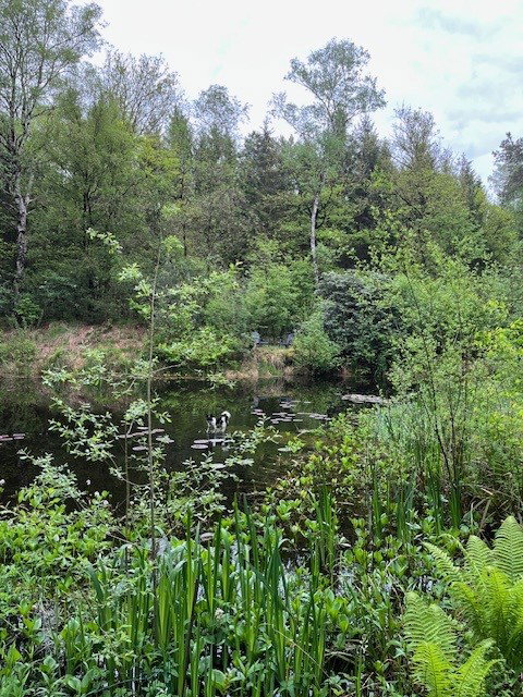 Natuurhuisje in Vilsteren