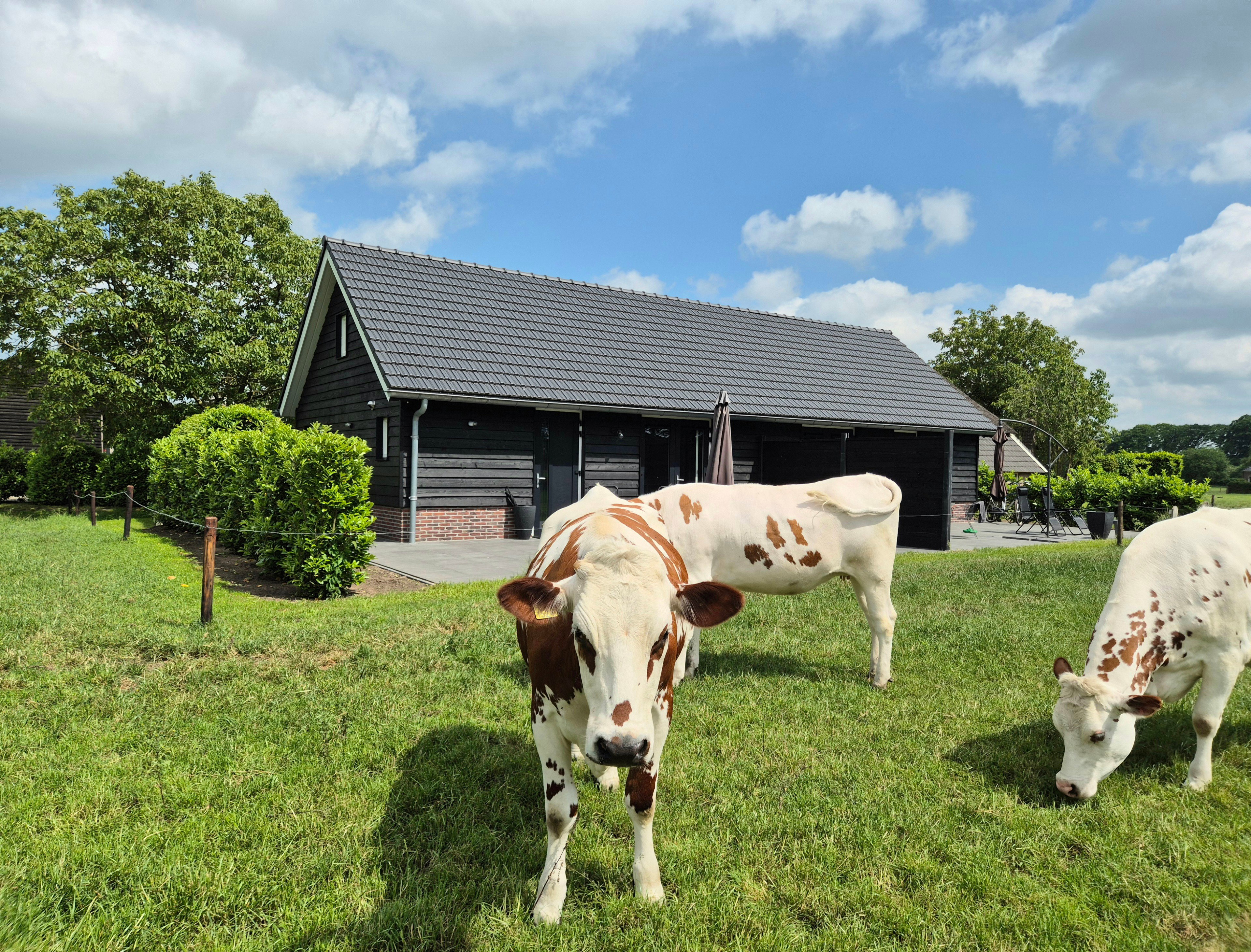 Natuurhuisje in Olst