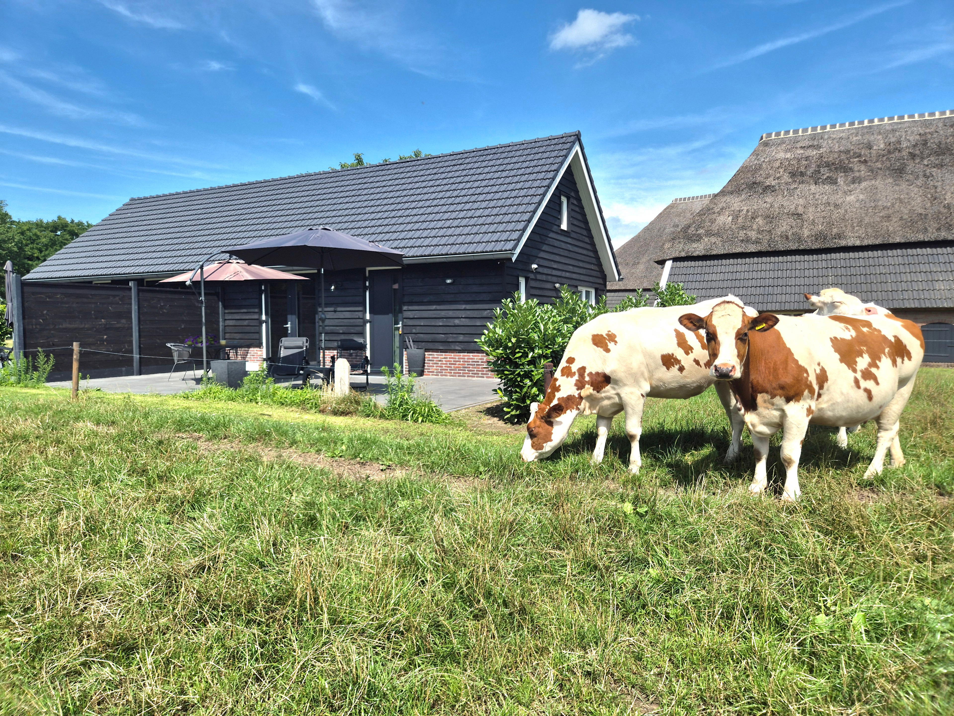 Natuurhuisje in Olst