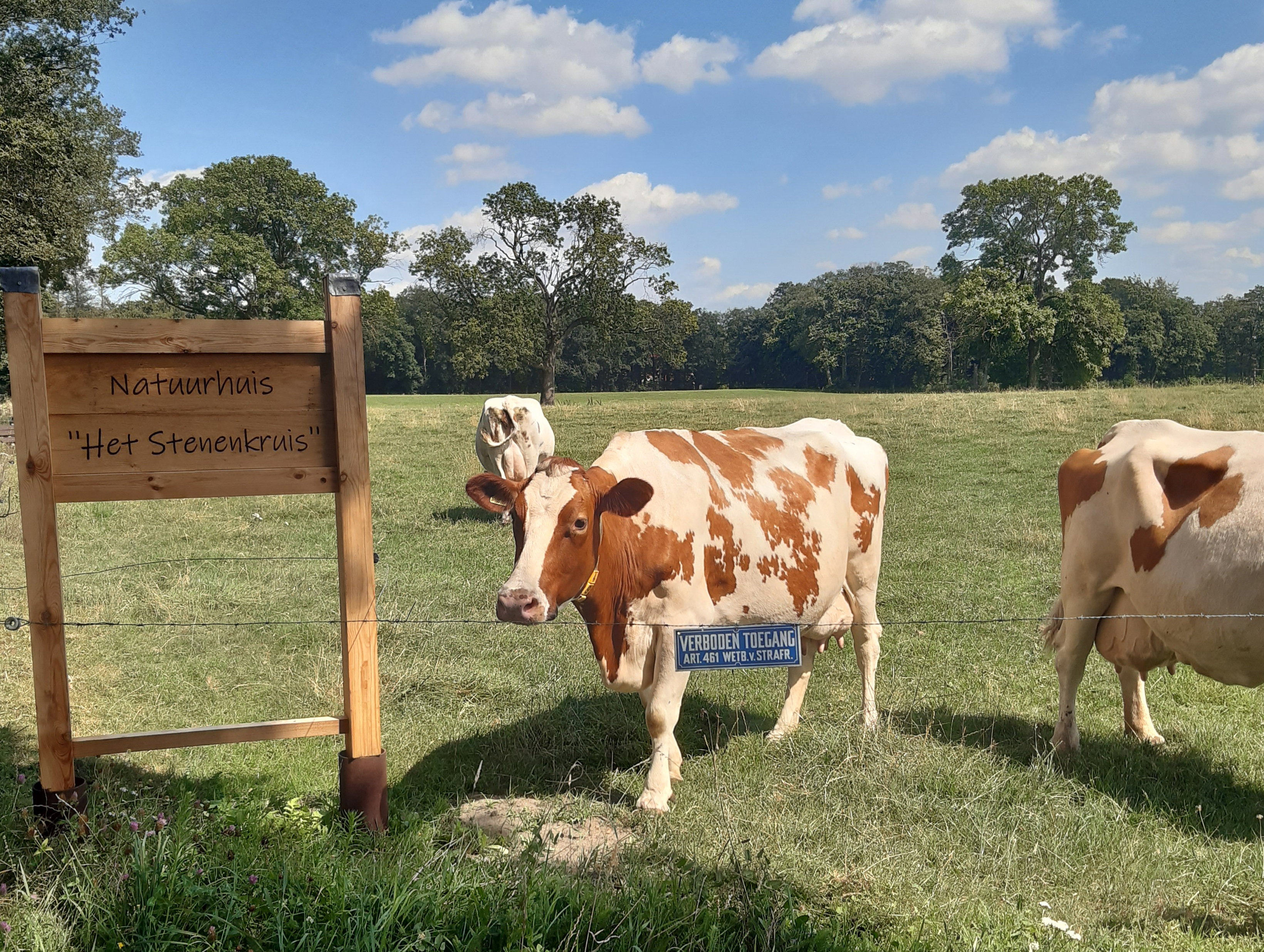 Natuurhuisje in Olst