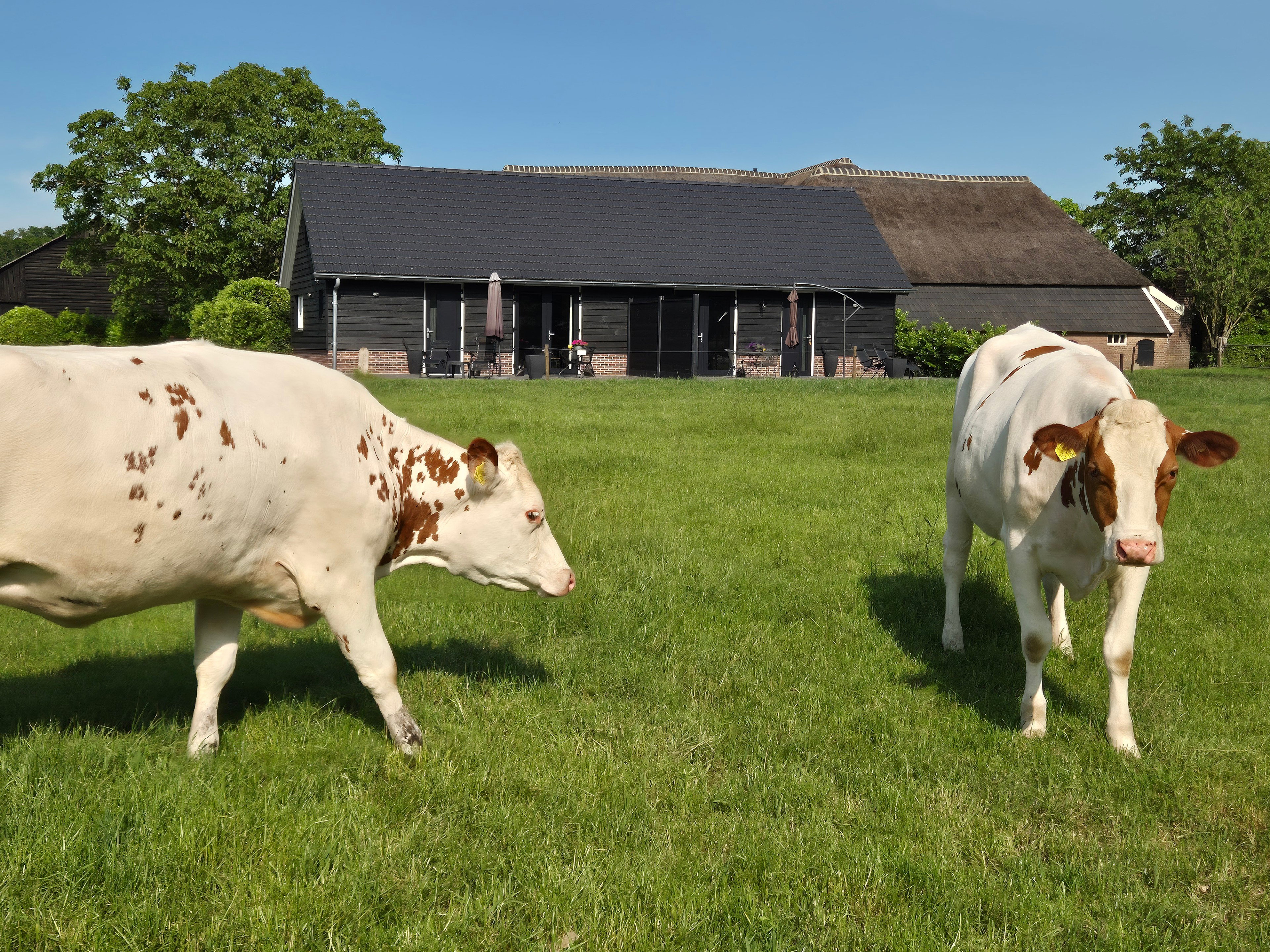 Natuurhuisje in Olst