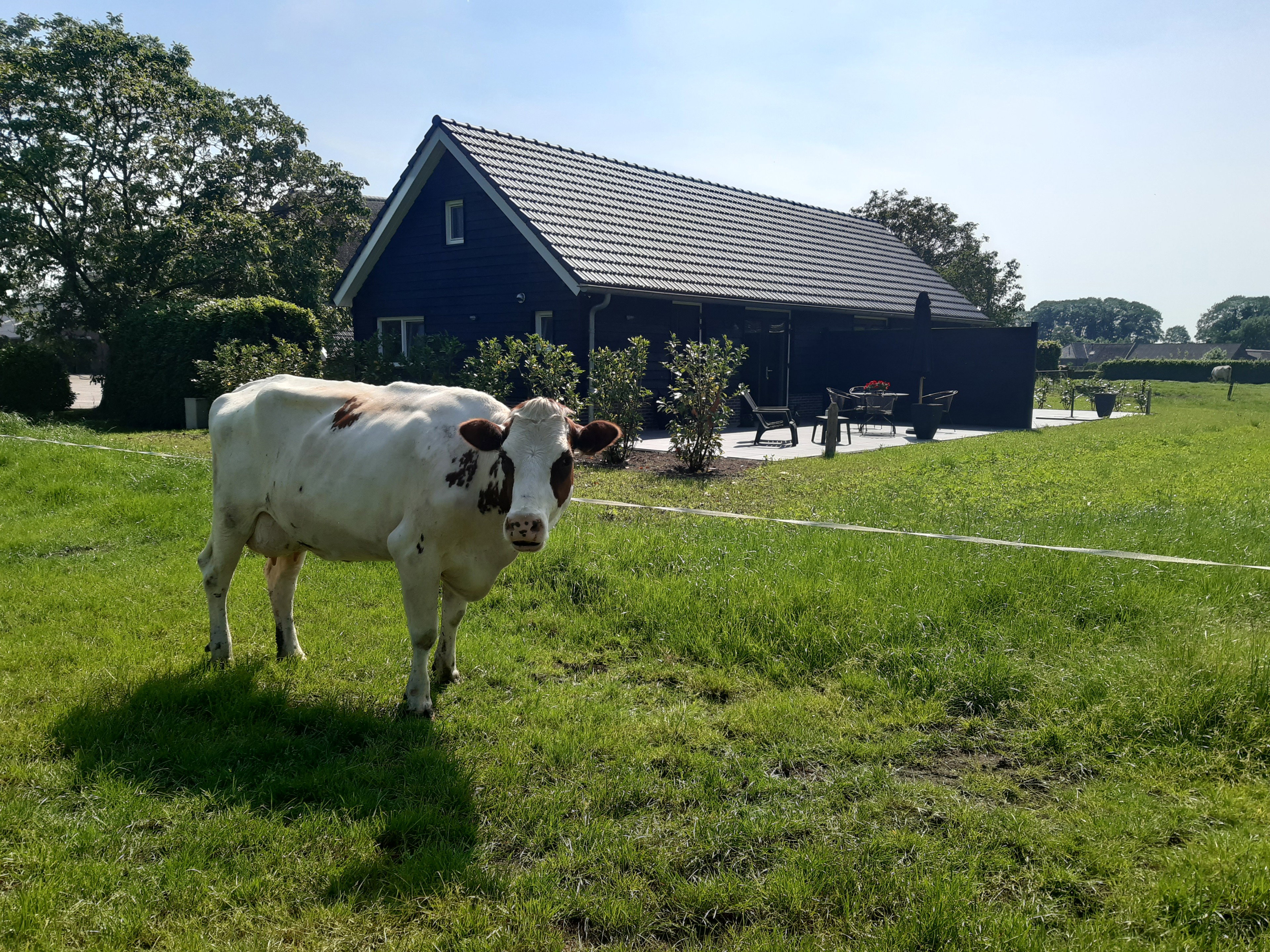 Naturhäuschen in Olst
