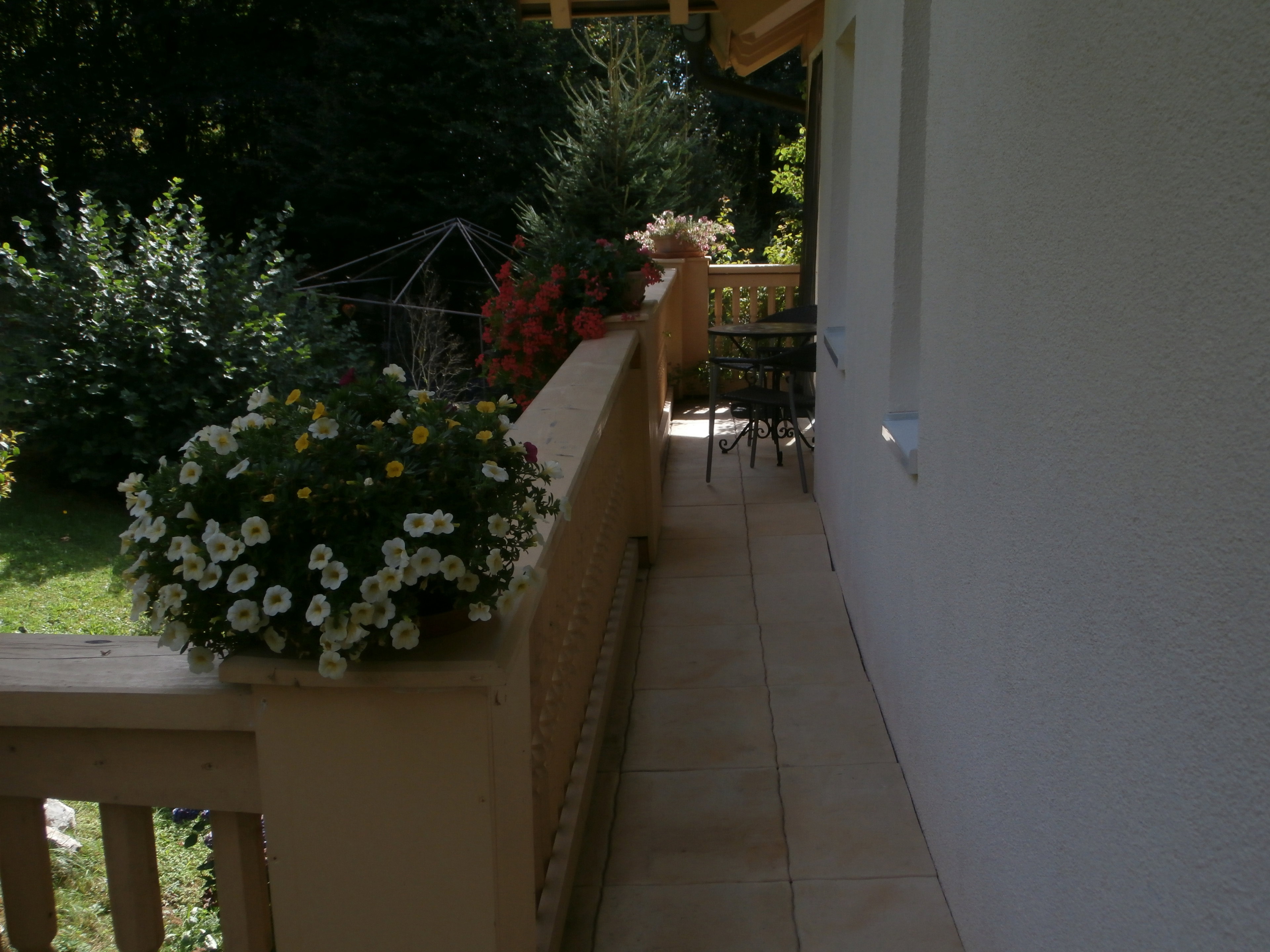 - image: 12