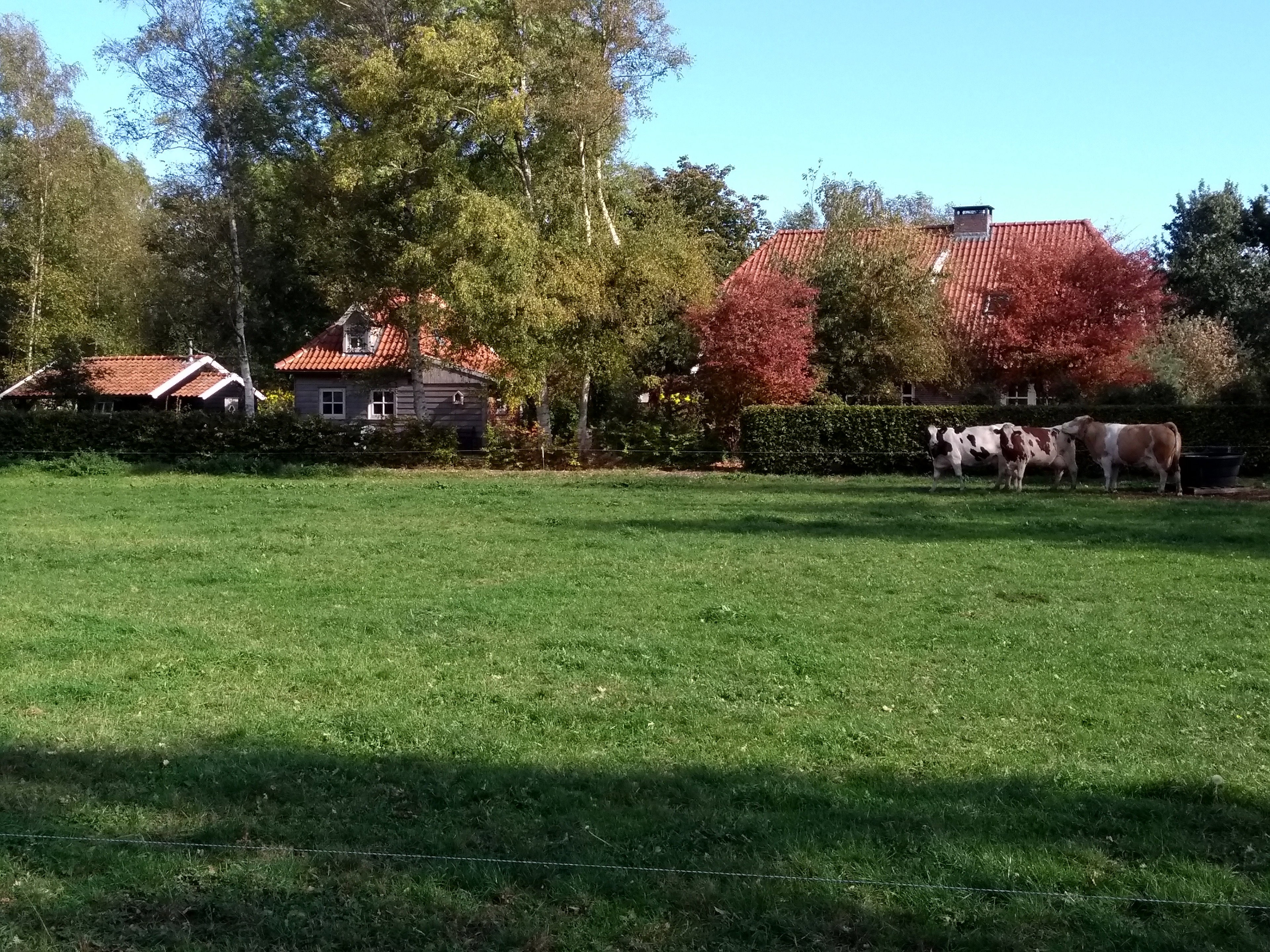 Maison nature à Vriezenveen