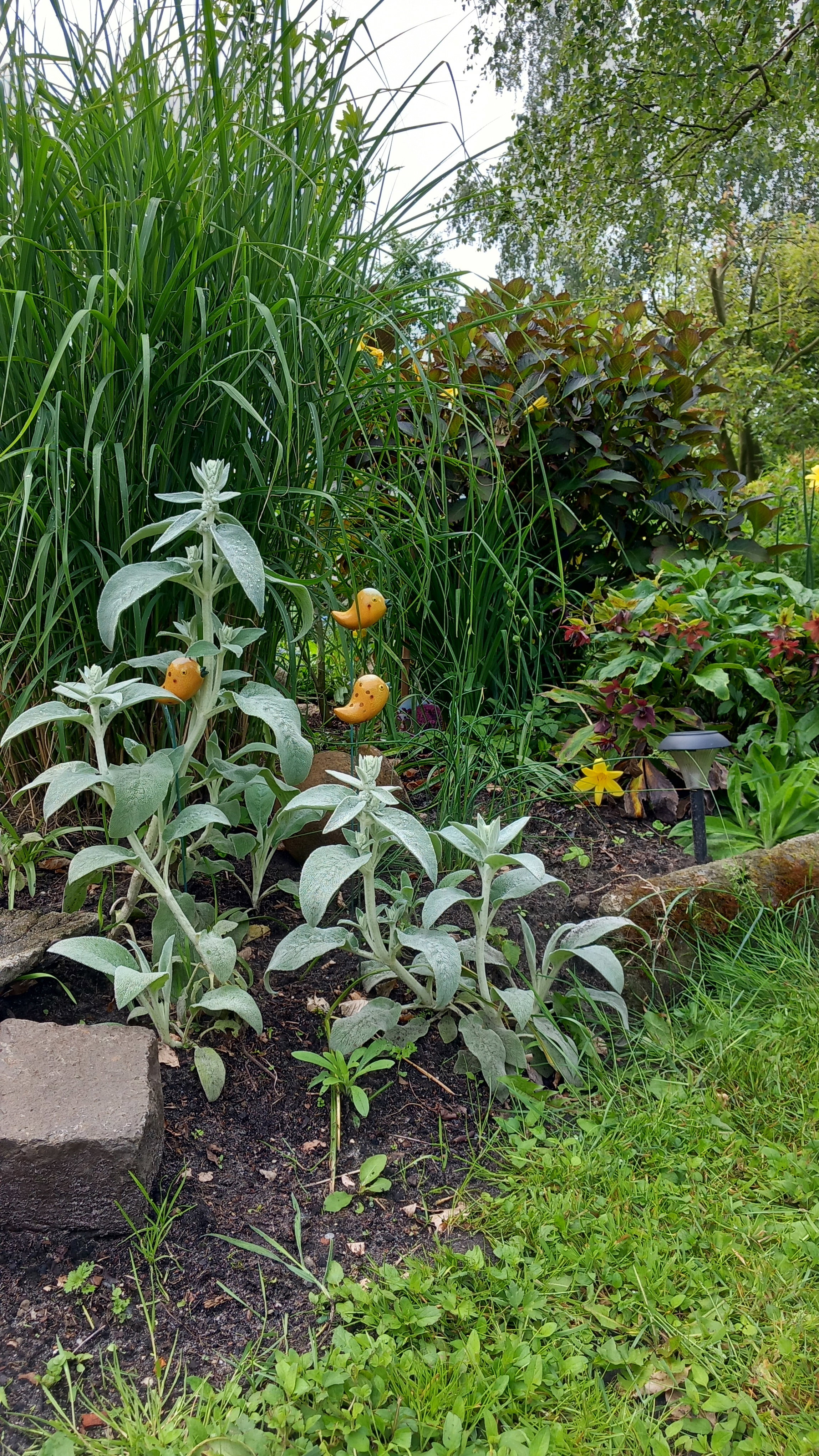 Maison nature à Vriezenveen
