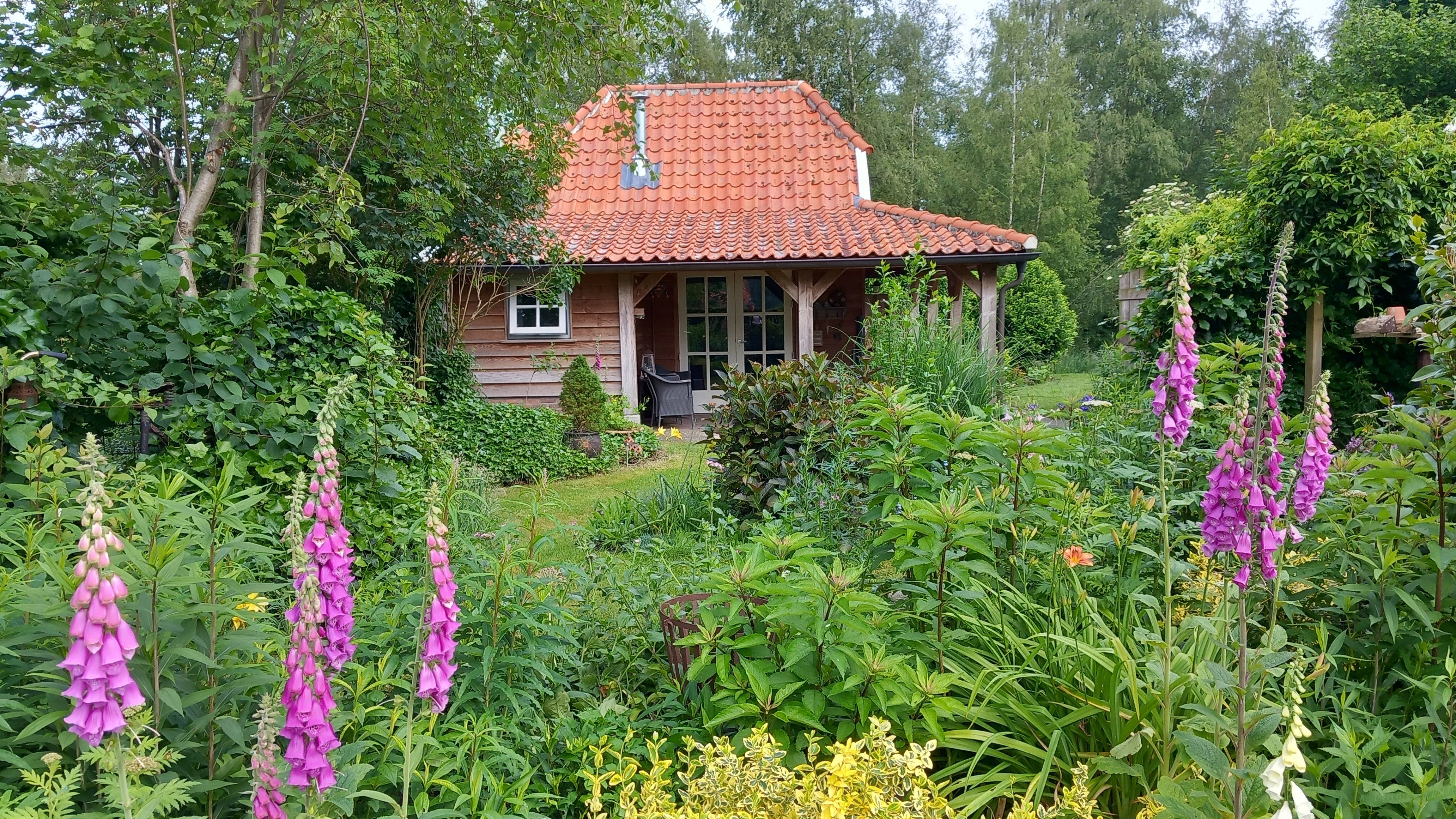Maison nature à Vriezenveen