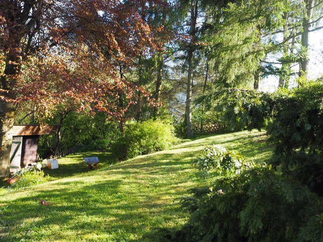Natuurhuisje in Stadtkyll