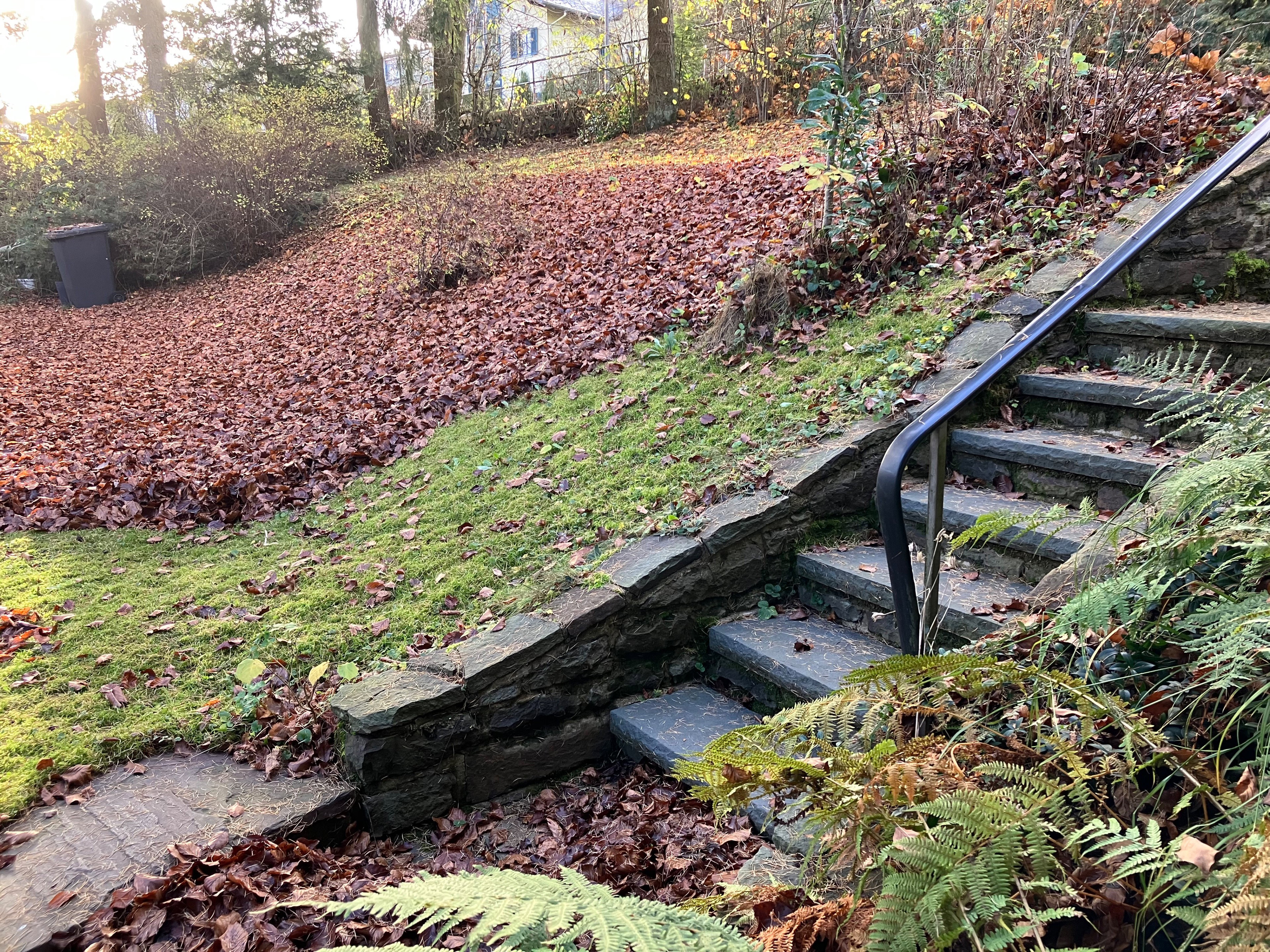 Nature house in Stadtkyll