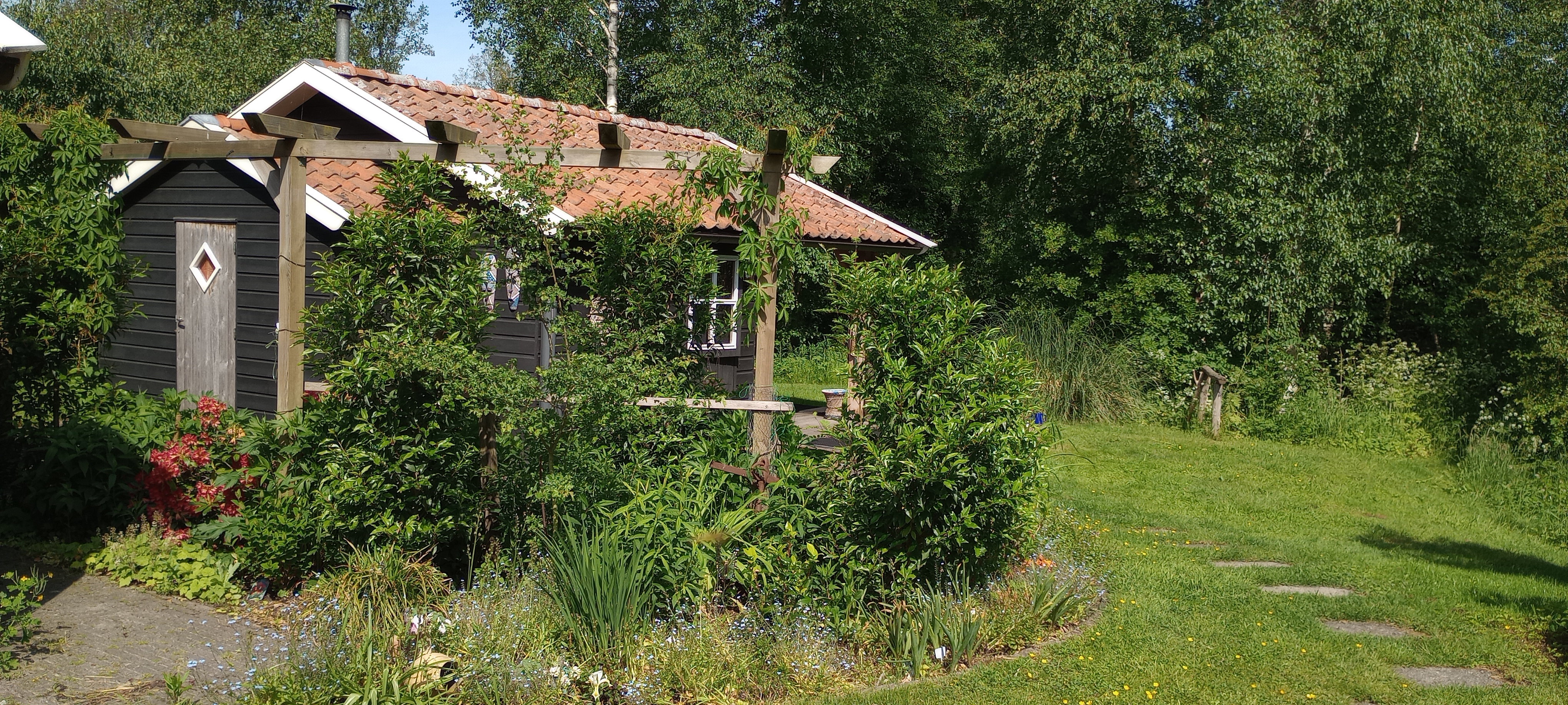 - image: 11