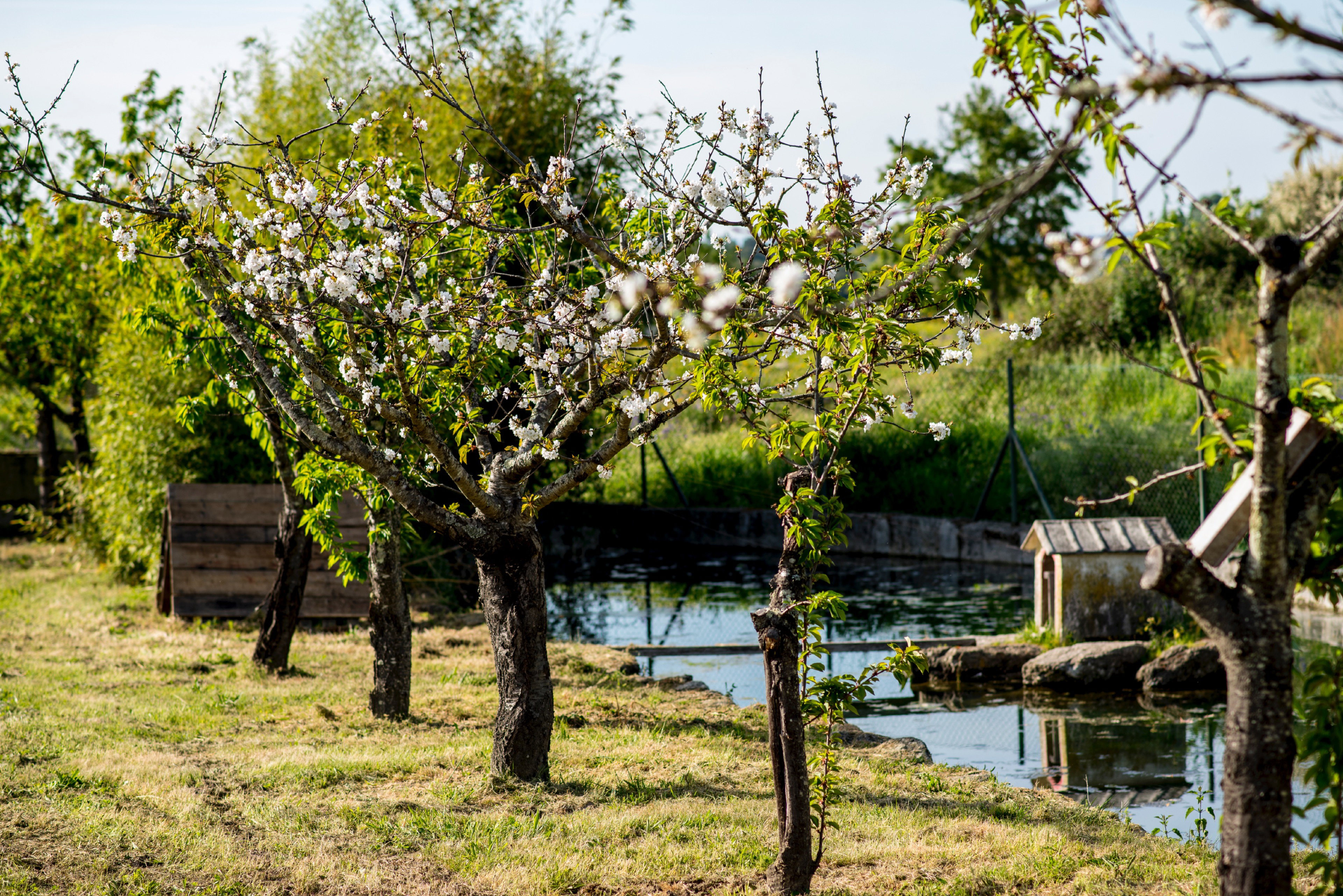Maison nature à Vilar Seco, Nelas