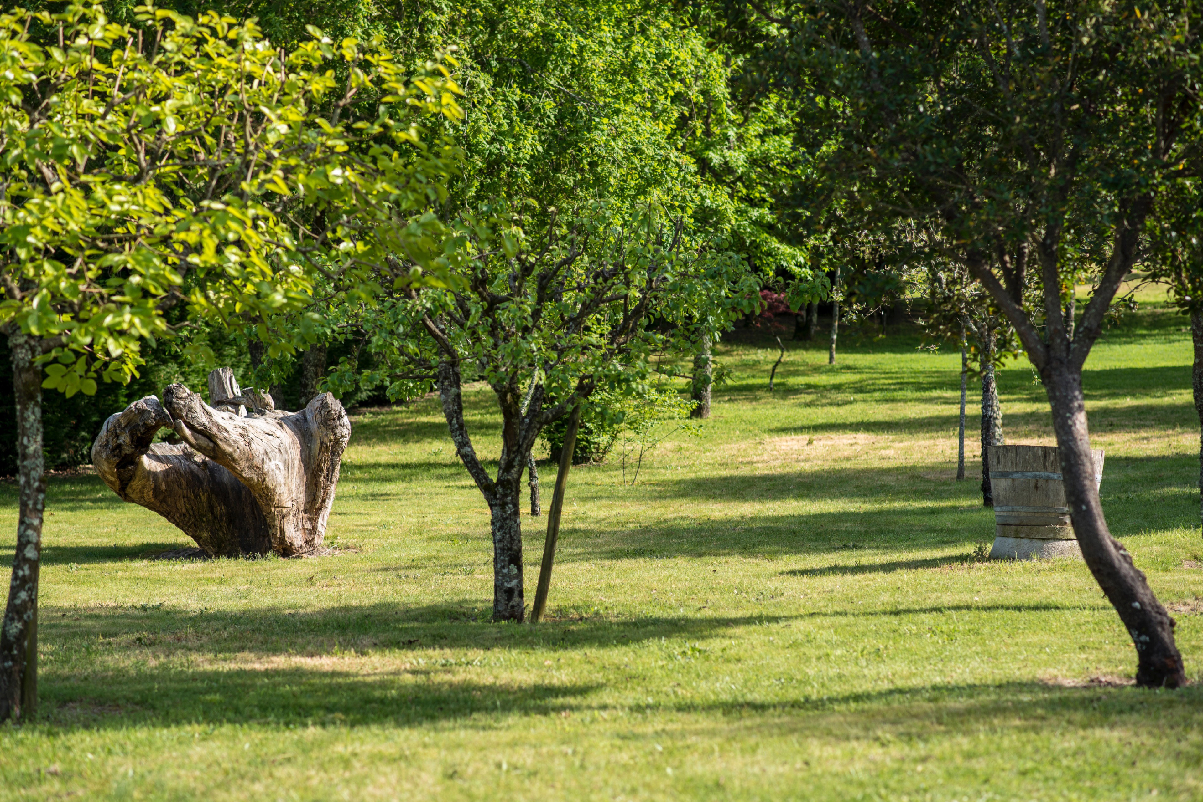 Maison nature à Vilar Seco, Nelas