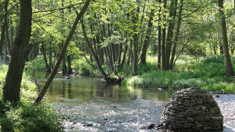 - image: 15