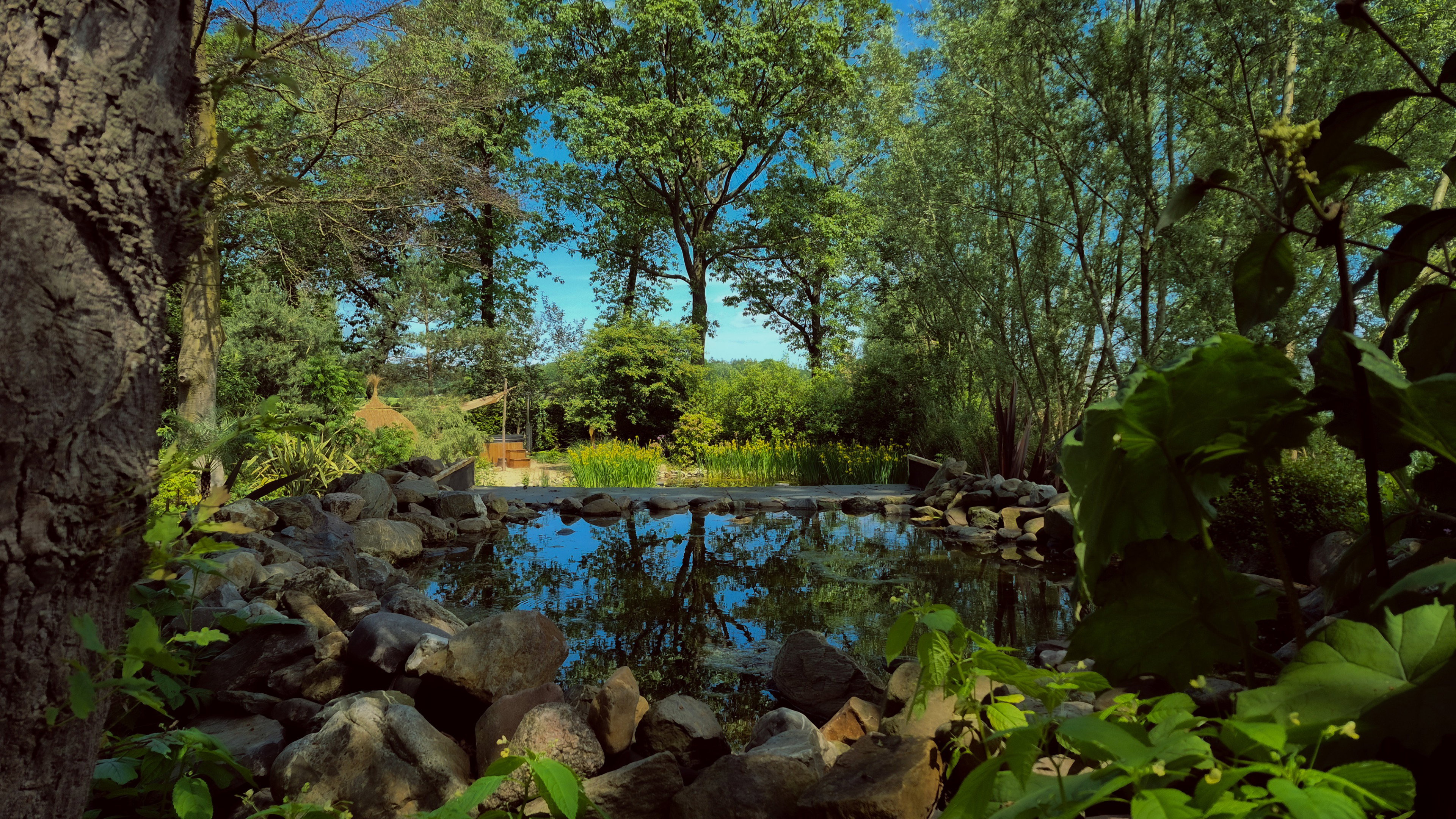 - image: 12