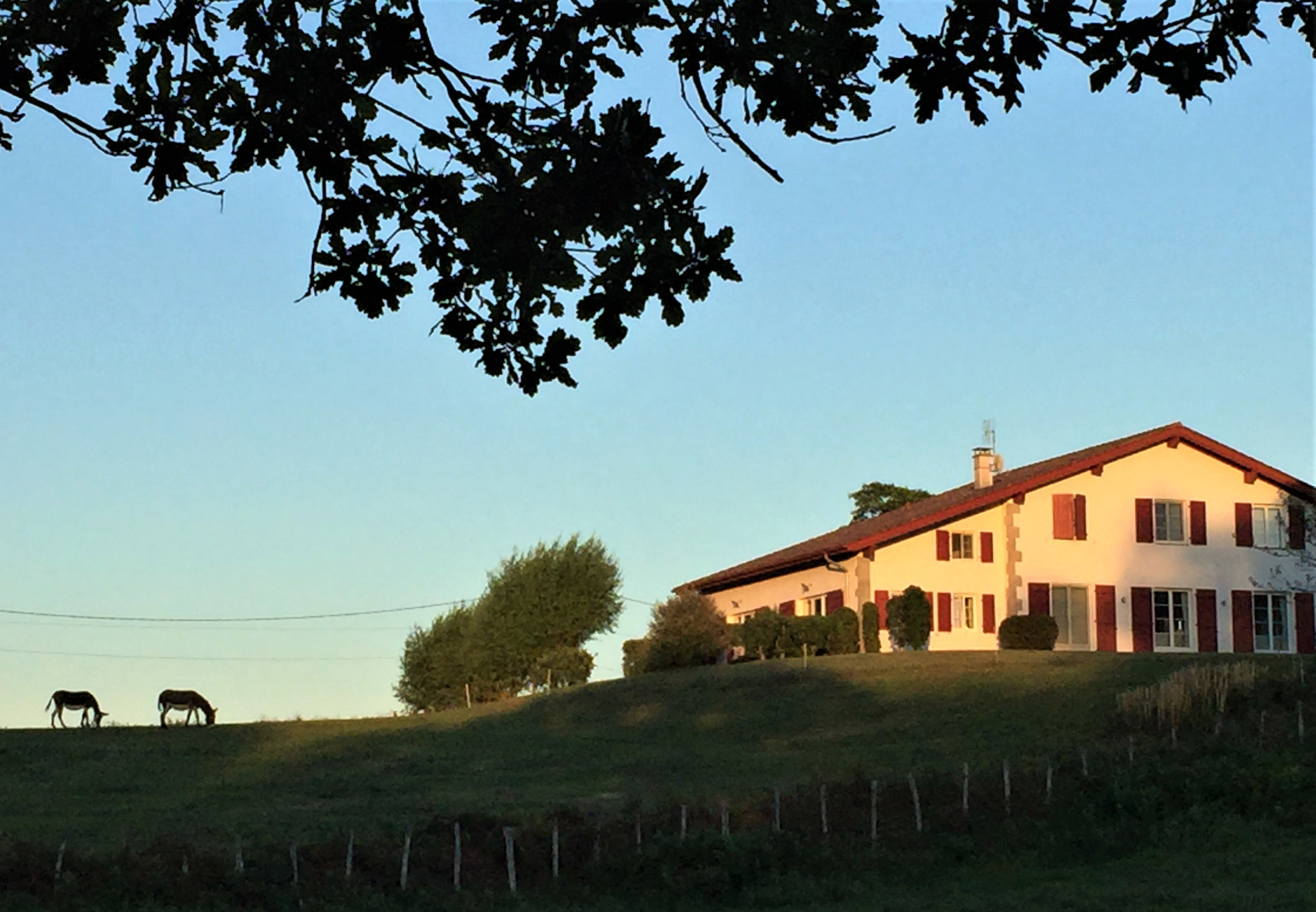 Maison nature à Louhossoa