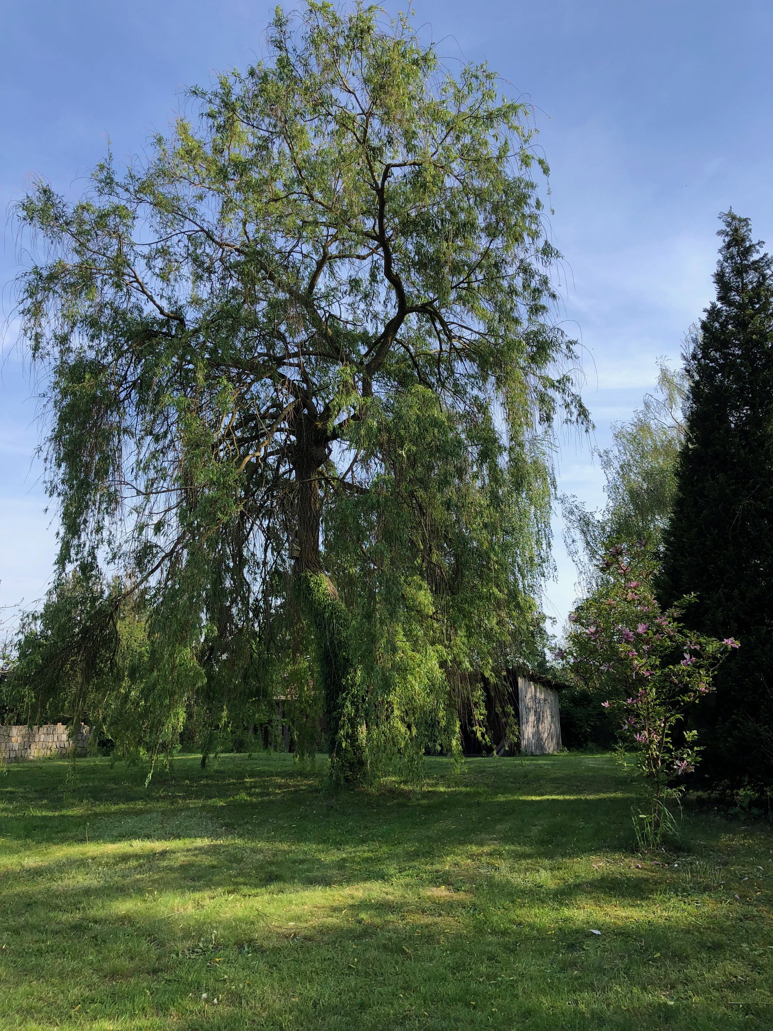 Naturhäuschen in Aulosen