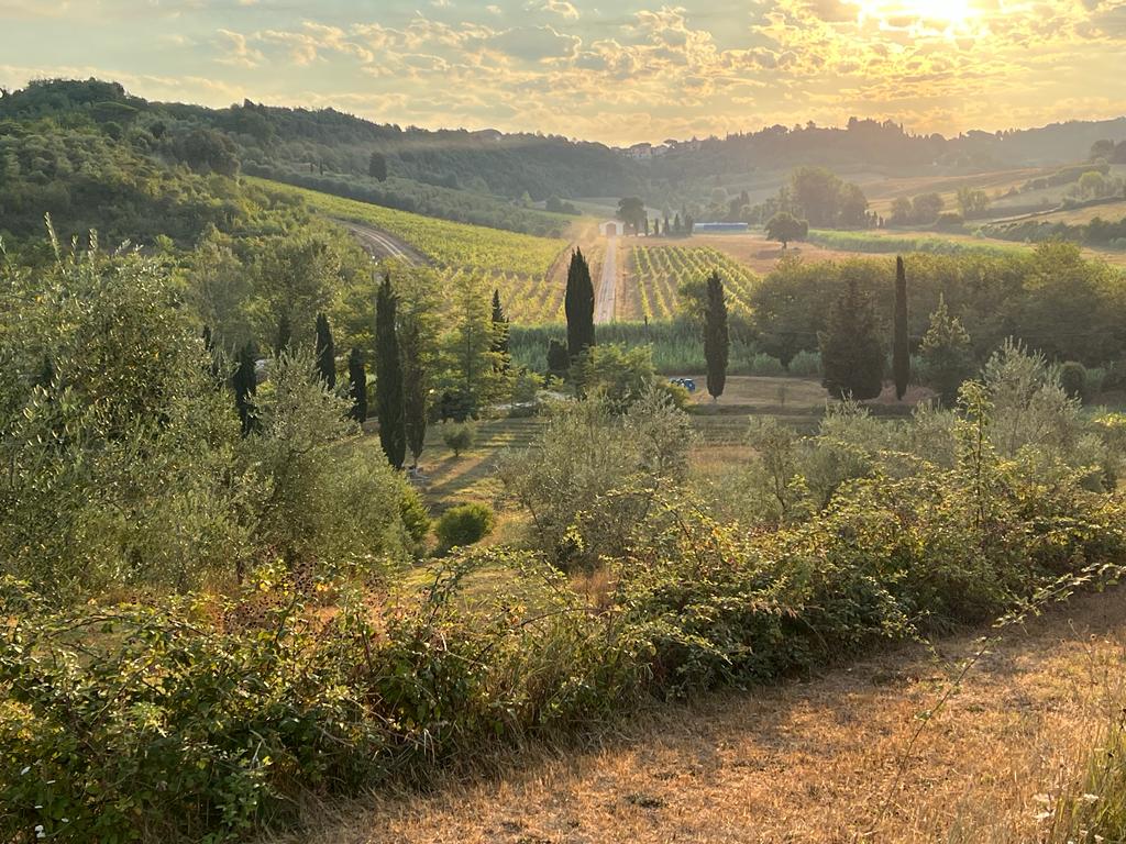 Maison nature à Casciana Terme Lari