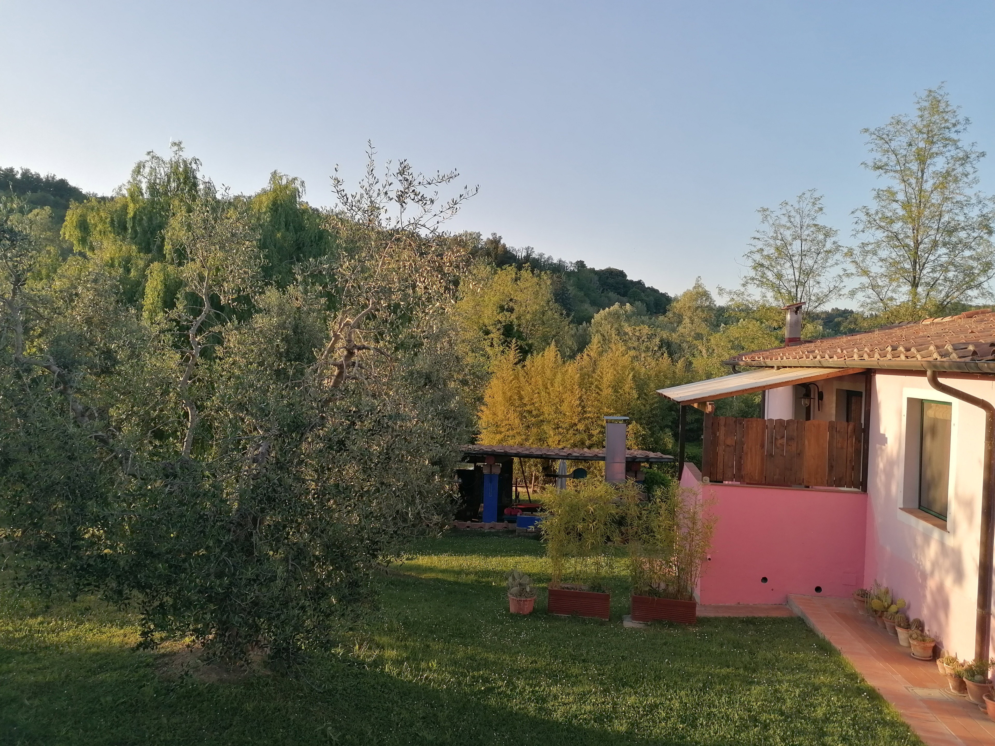 - image: 24