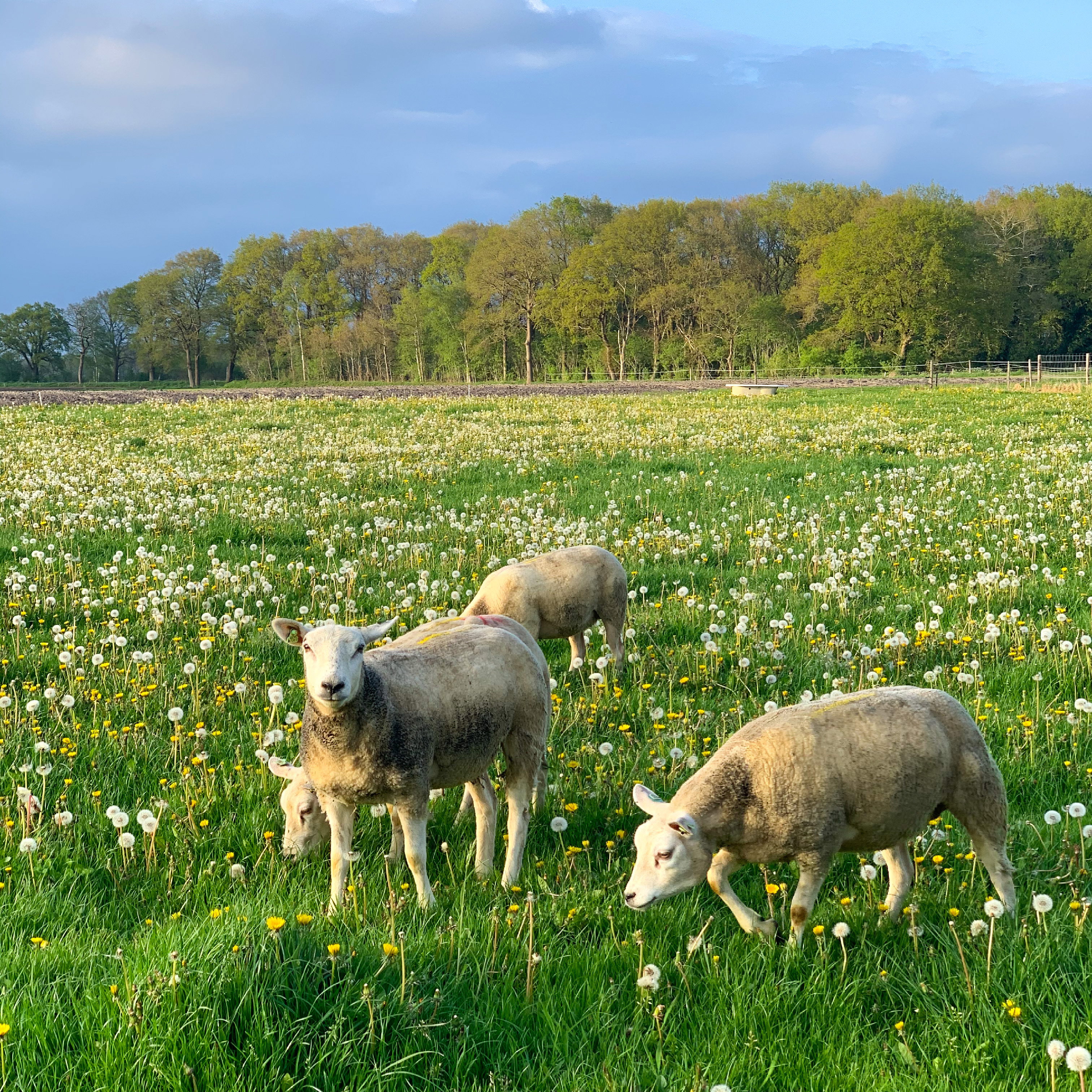 Naturhäuschen in Anderen