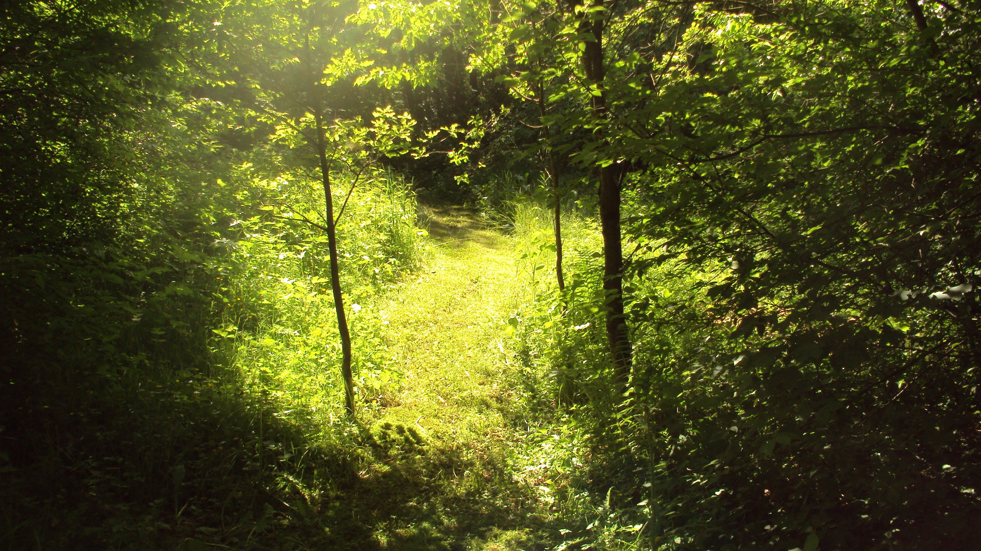 Natuurhuisje in Vielsalm