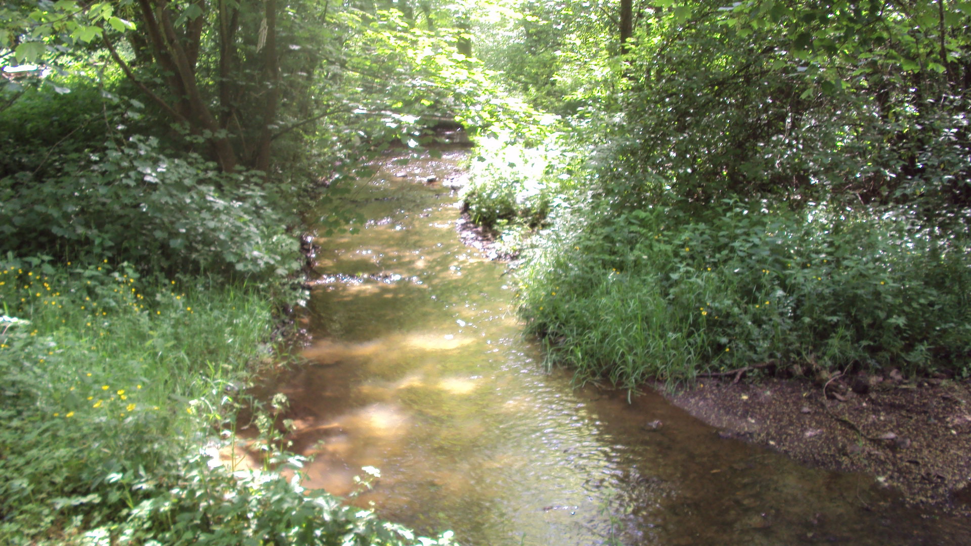 Natuurhuisje in Vielsalm