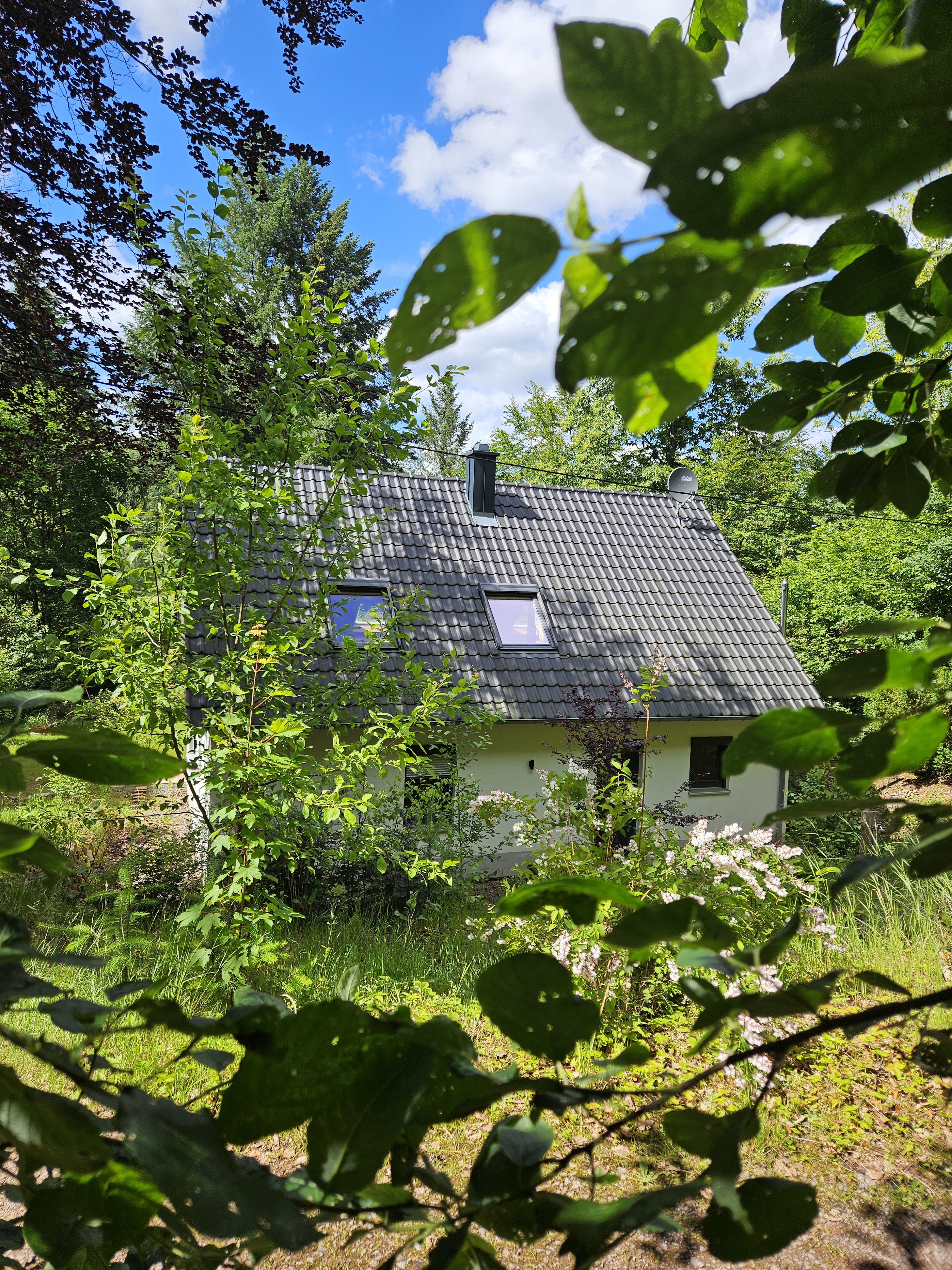 Casa nella natura a Vorderweidenthal