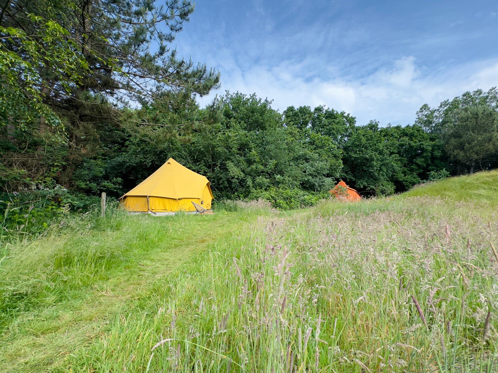 Natuurhuisje in Den Hoorn