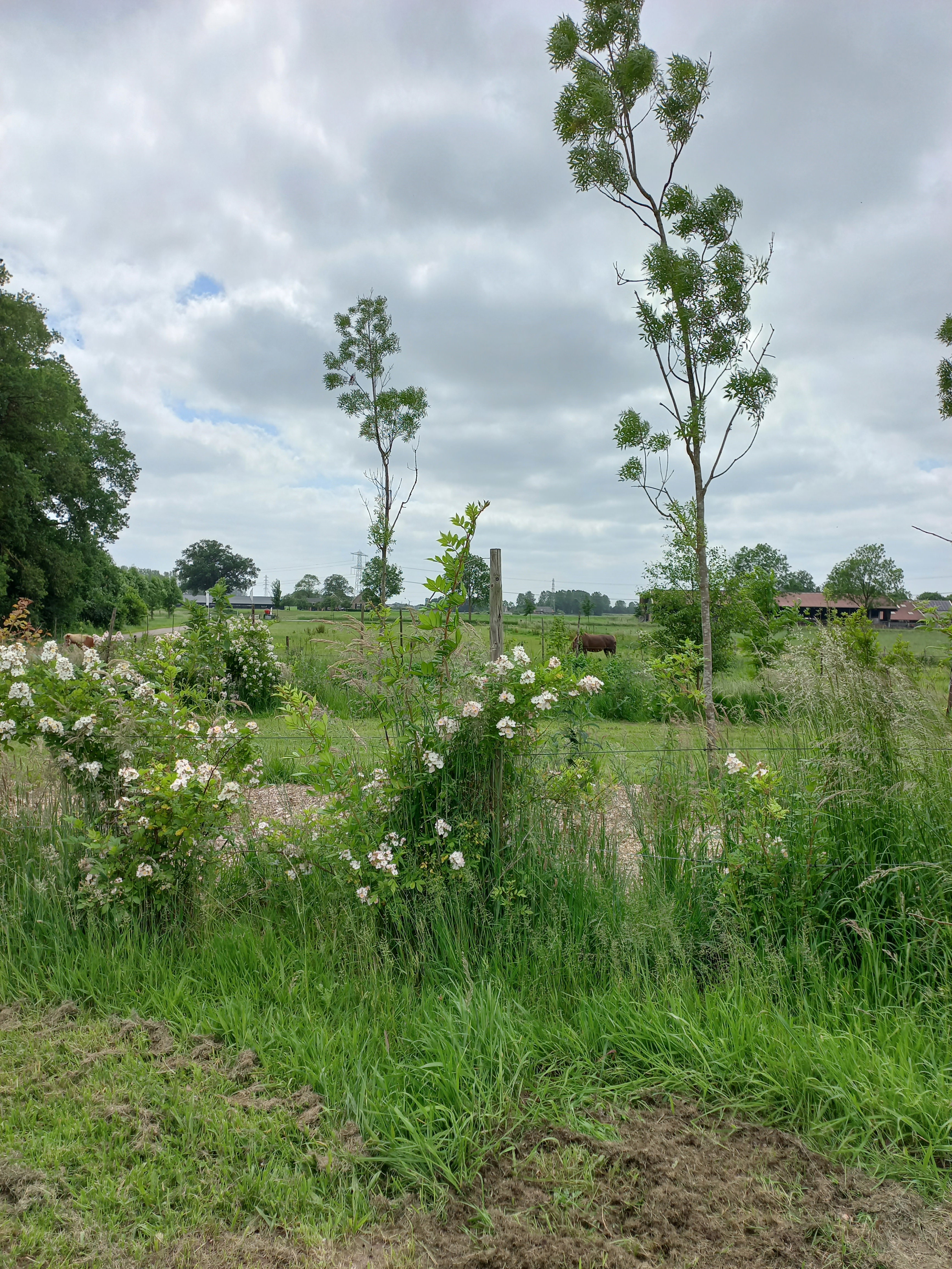 Natuurhuisje in Vierakker