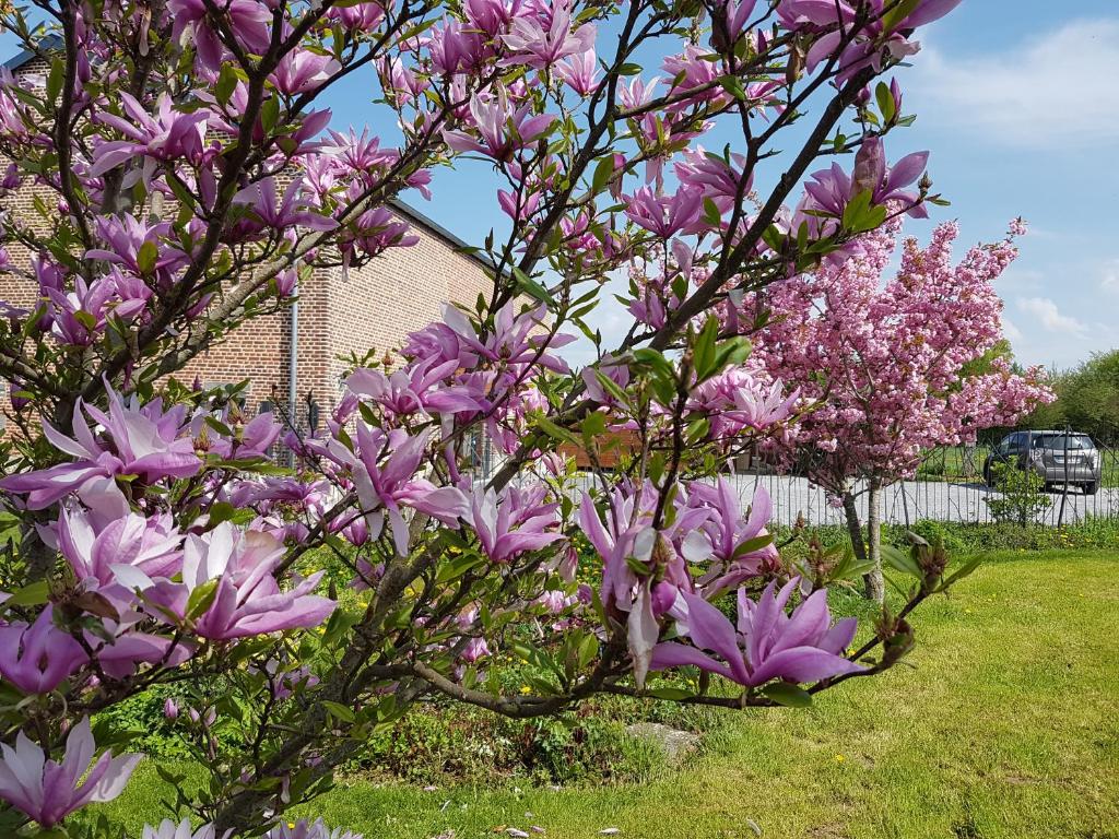 Natuurhuisje in Aulnoye-Aymeries