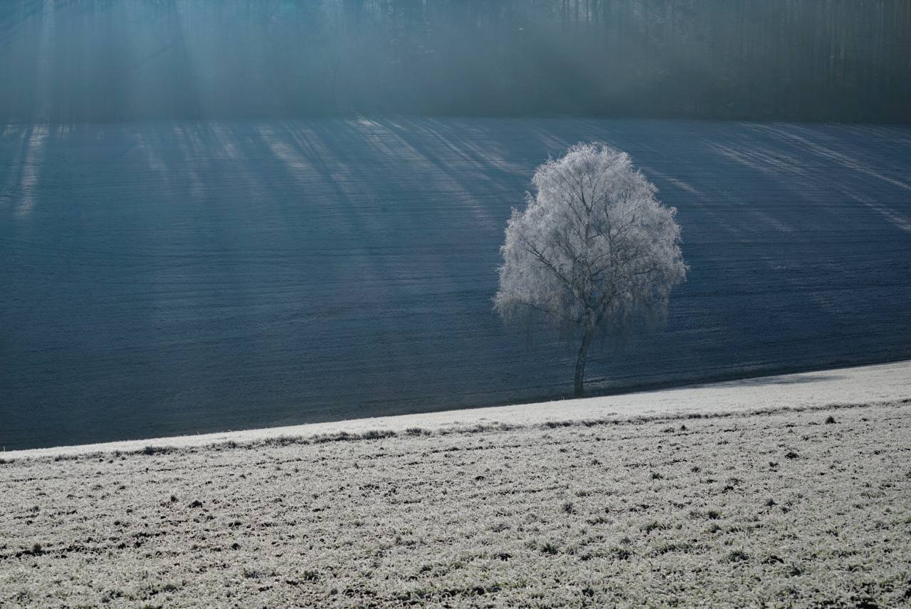 - image: 41