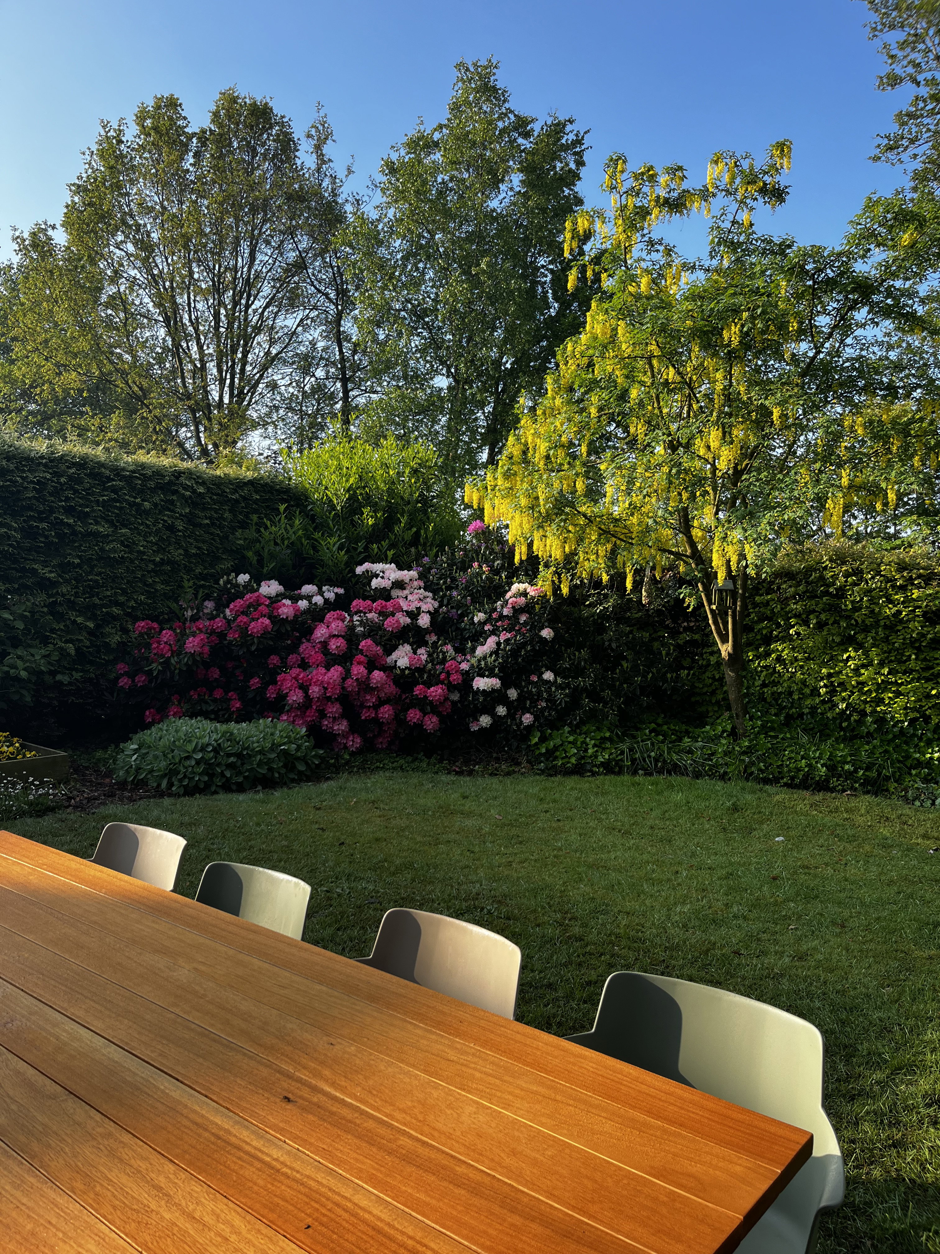 Natuurhuisje in Idskenhuizen