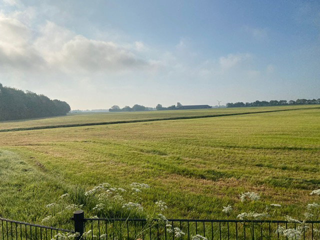 - image: 49