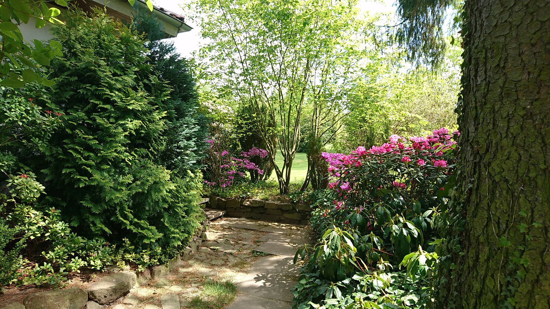 - image: 25