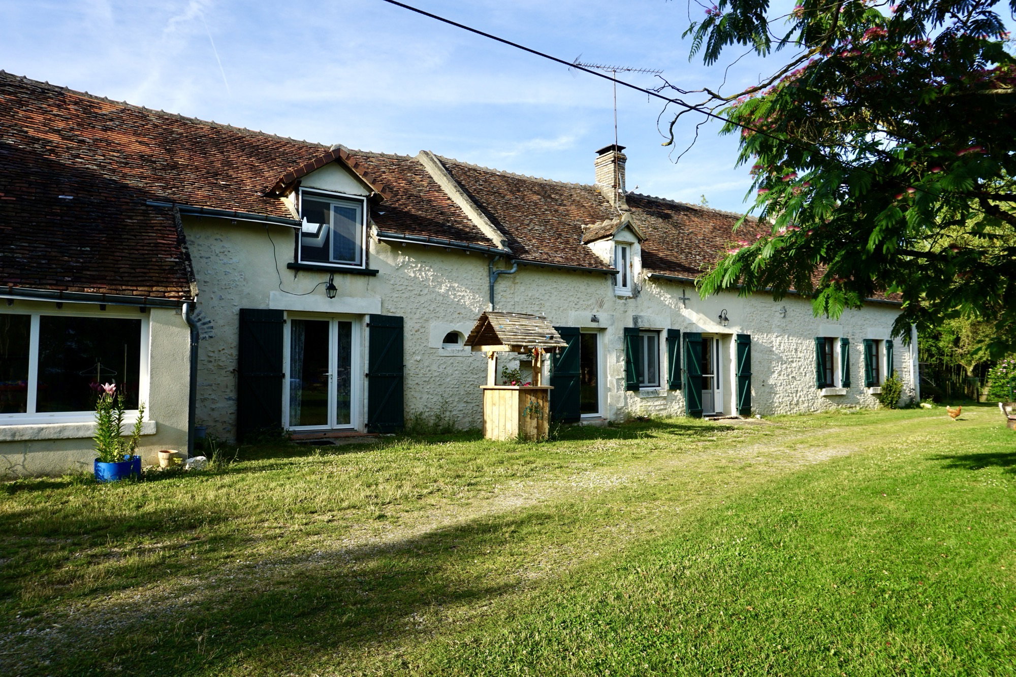 - image: 1