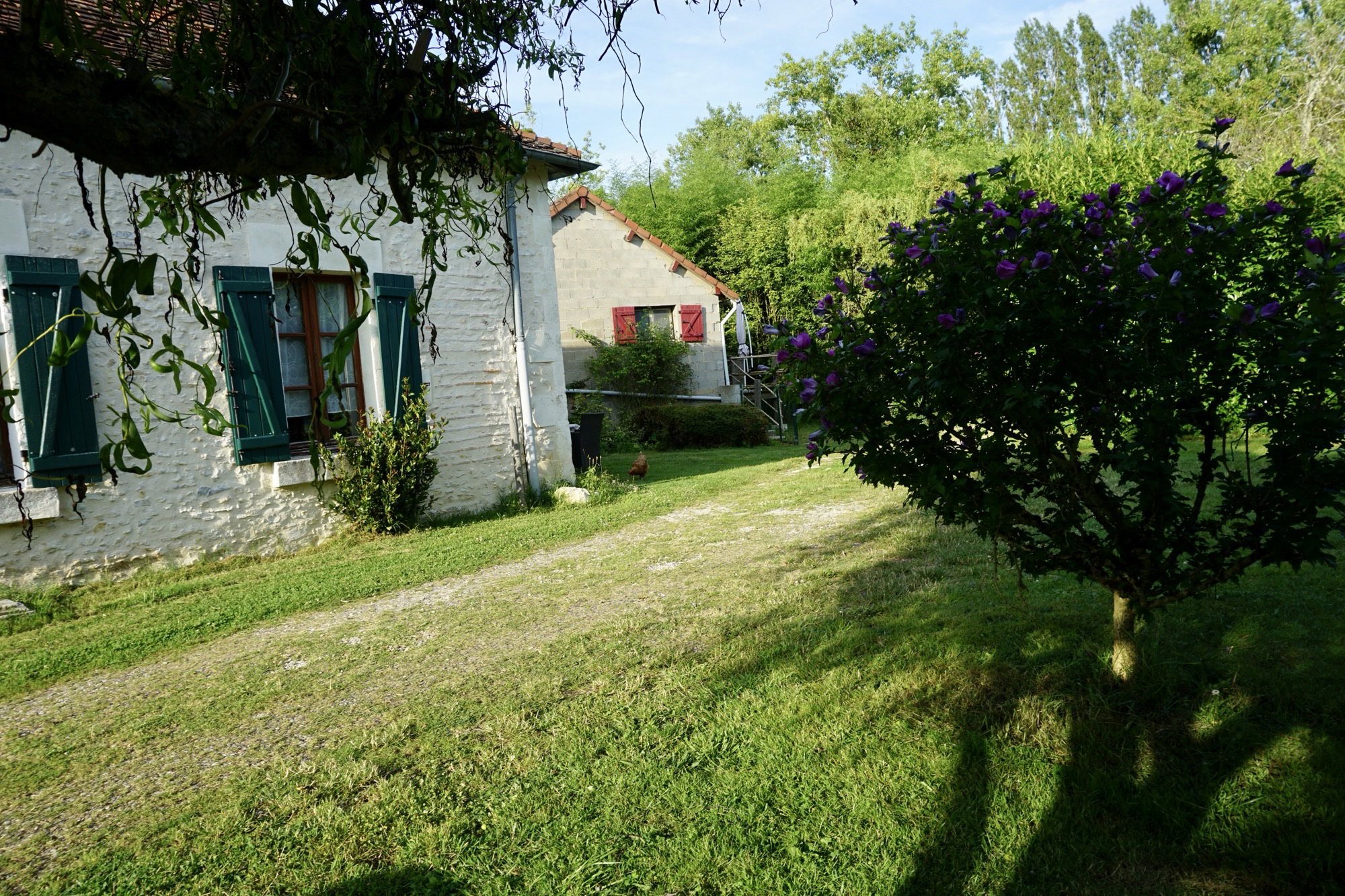- image: 60