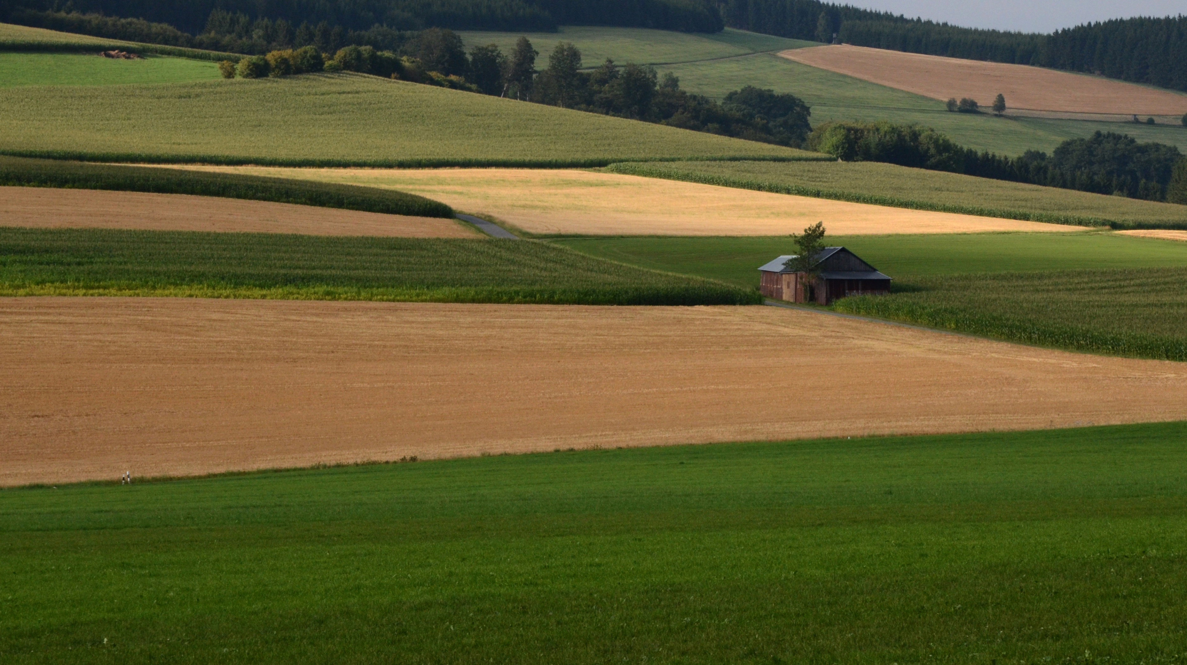 Naturhäuschen in Schmallenberg